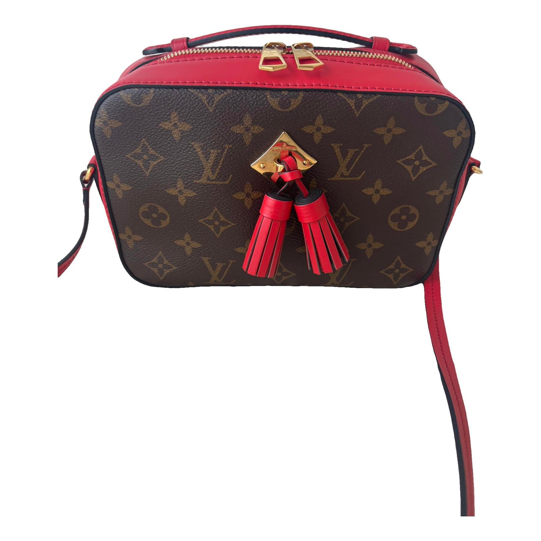 Saintonge leather crossbody bag