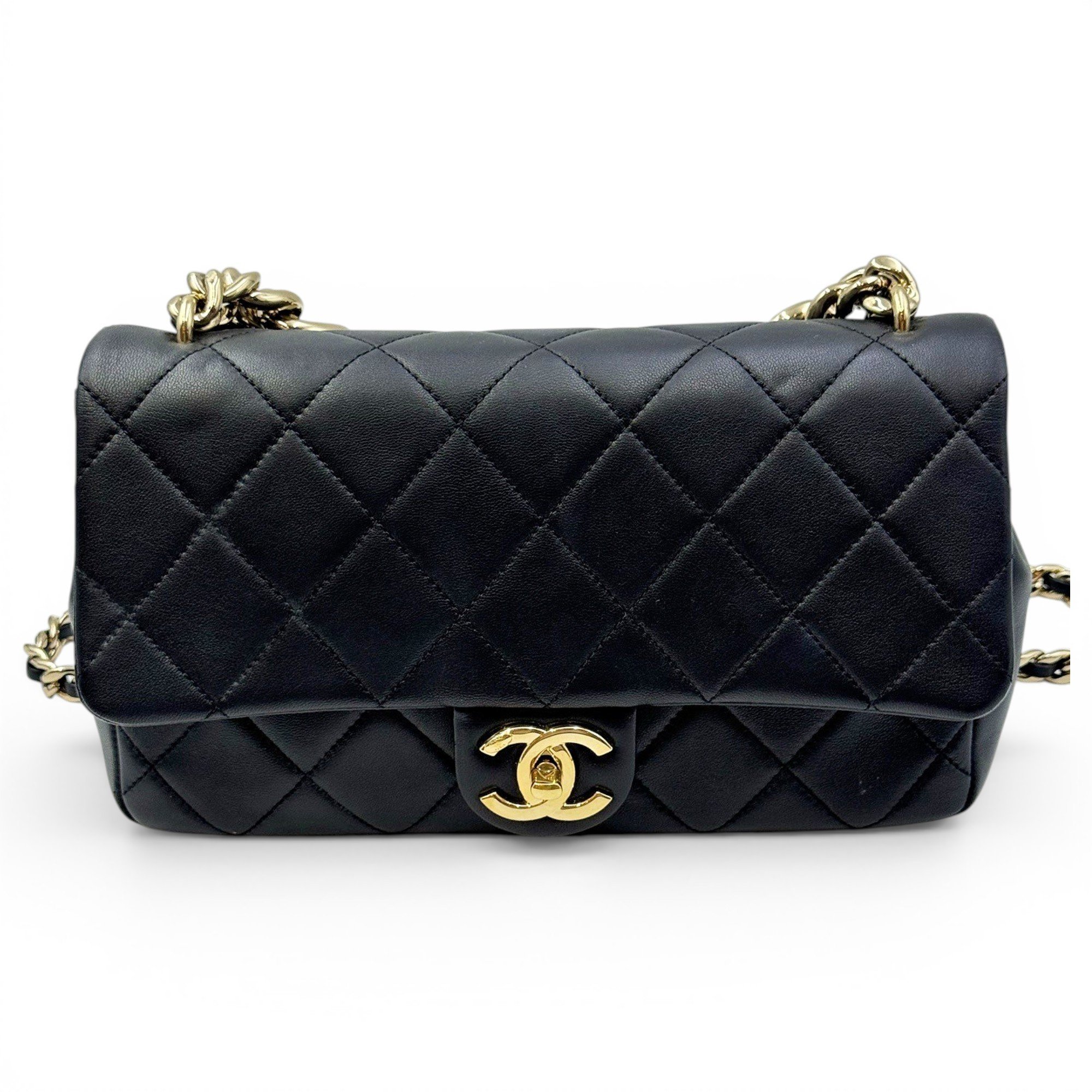 Timeless/Classique leather bag