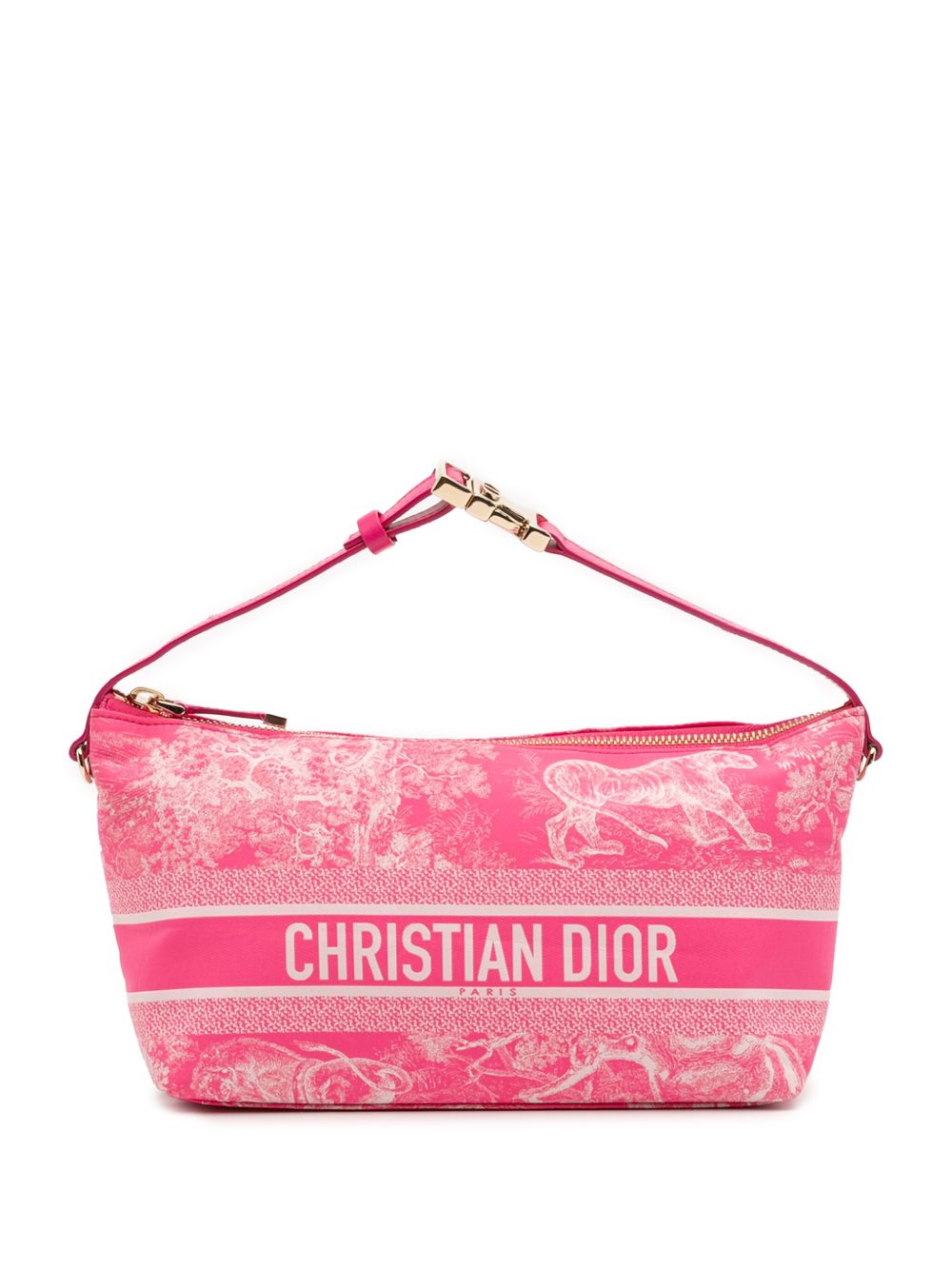Dior 2022 Medium Technical Fabric Toile de Jouy Reverse DiorTravel Nomad Pouch handbag