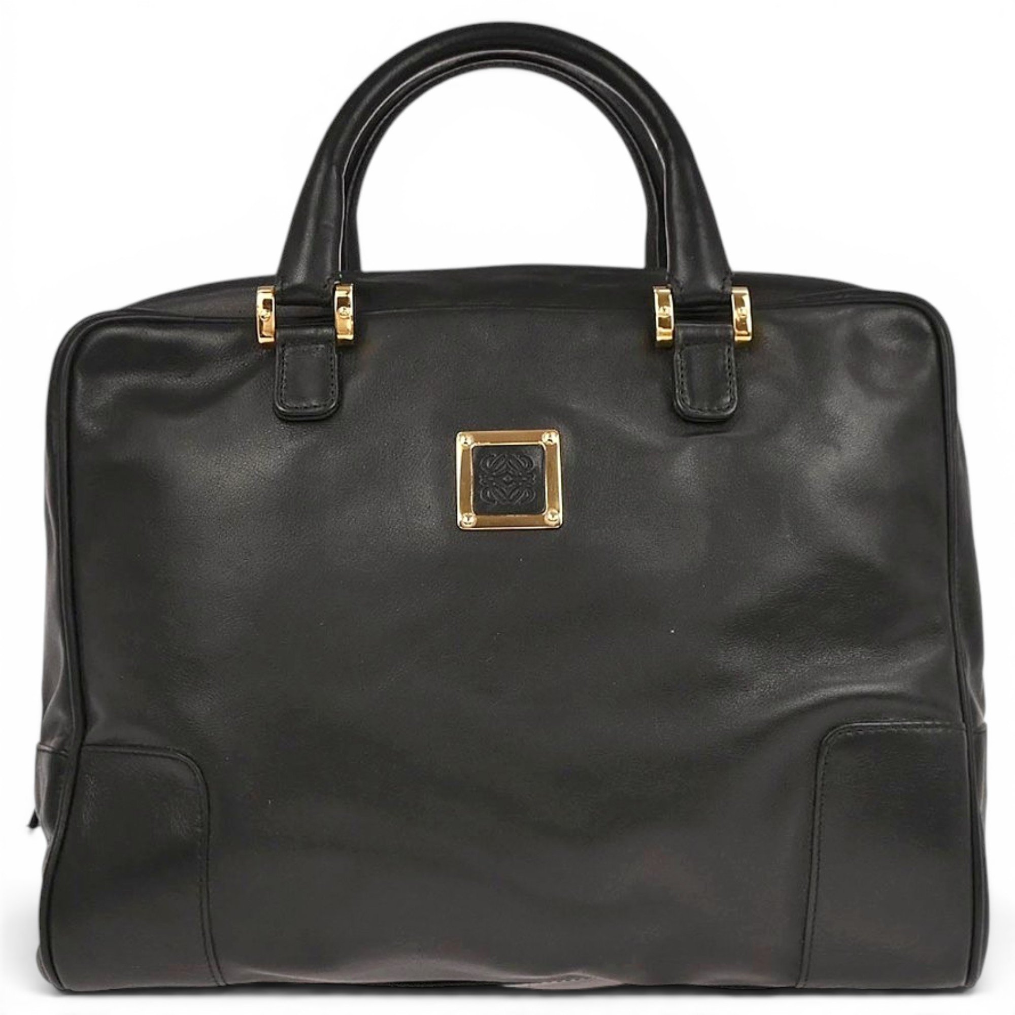 Amazona leather handbag