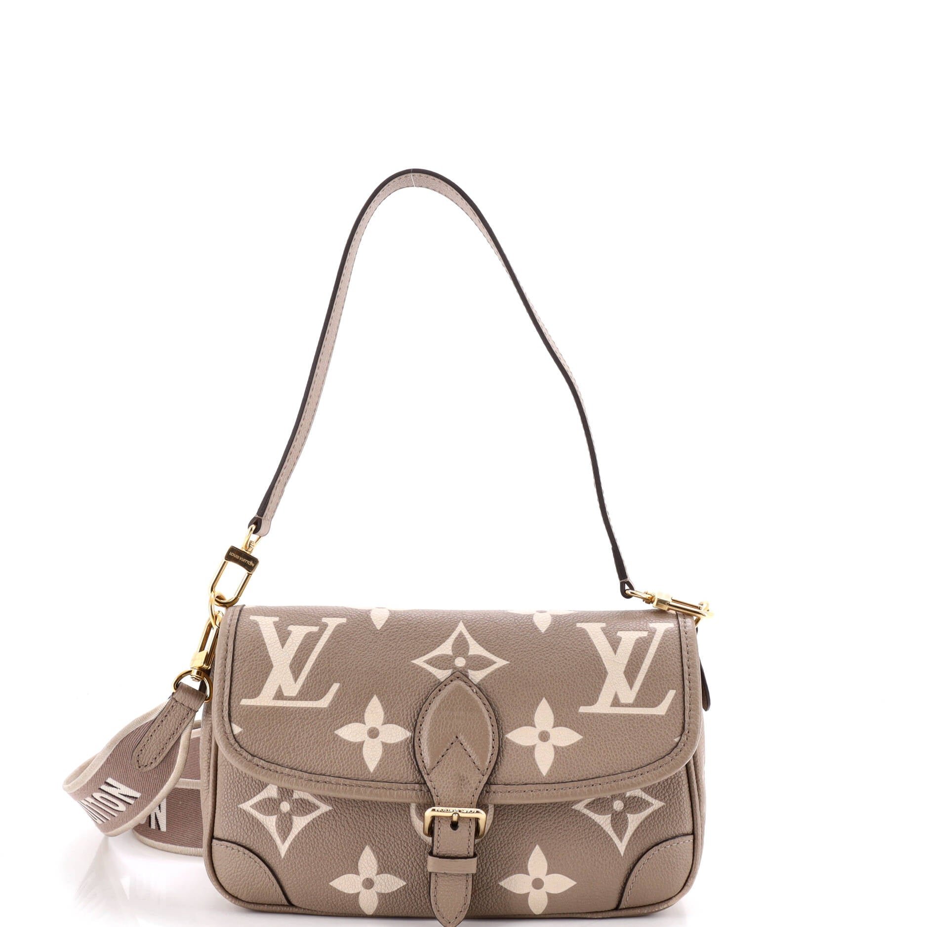 Diane NM Handbag Bicolor Monogram Empreinte Giant