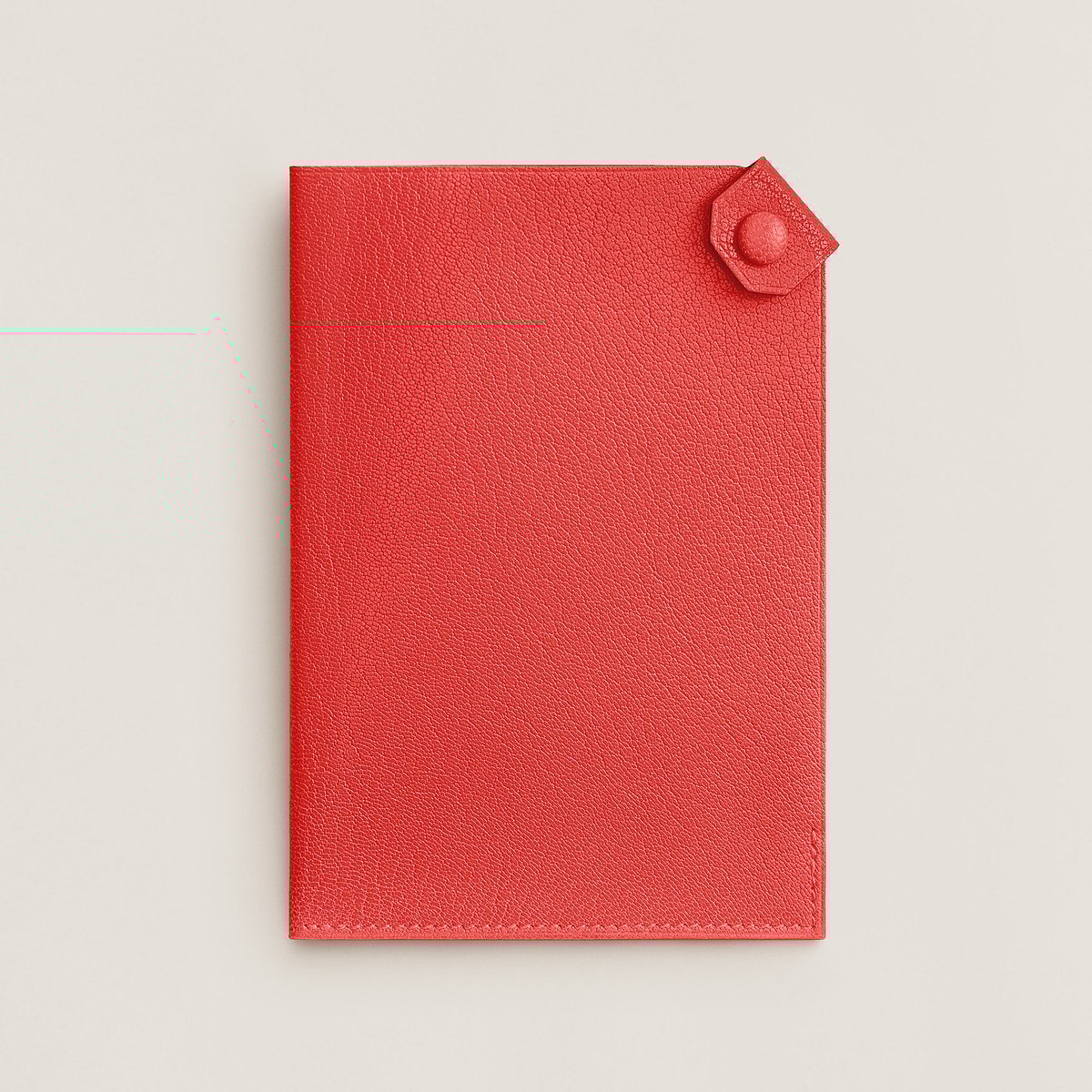 Capucine Tarmac Passport Holder