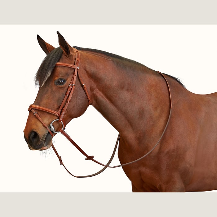 Ergonomic Hunter/jumper Bridle