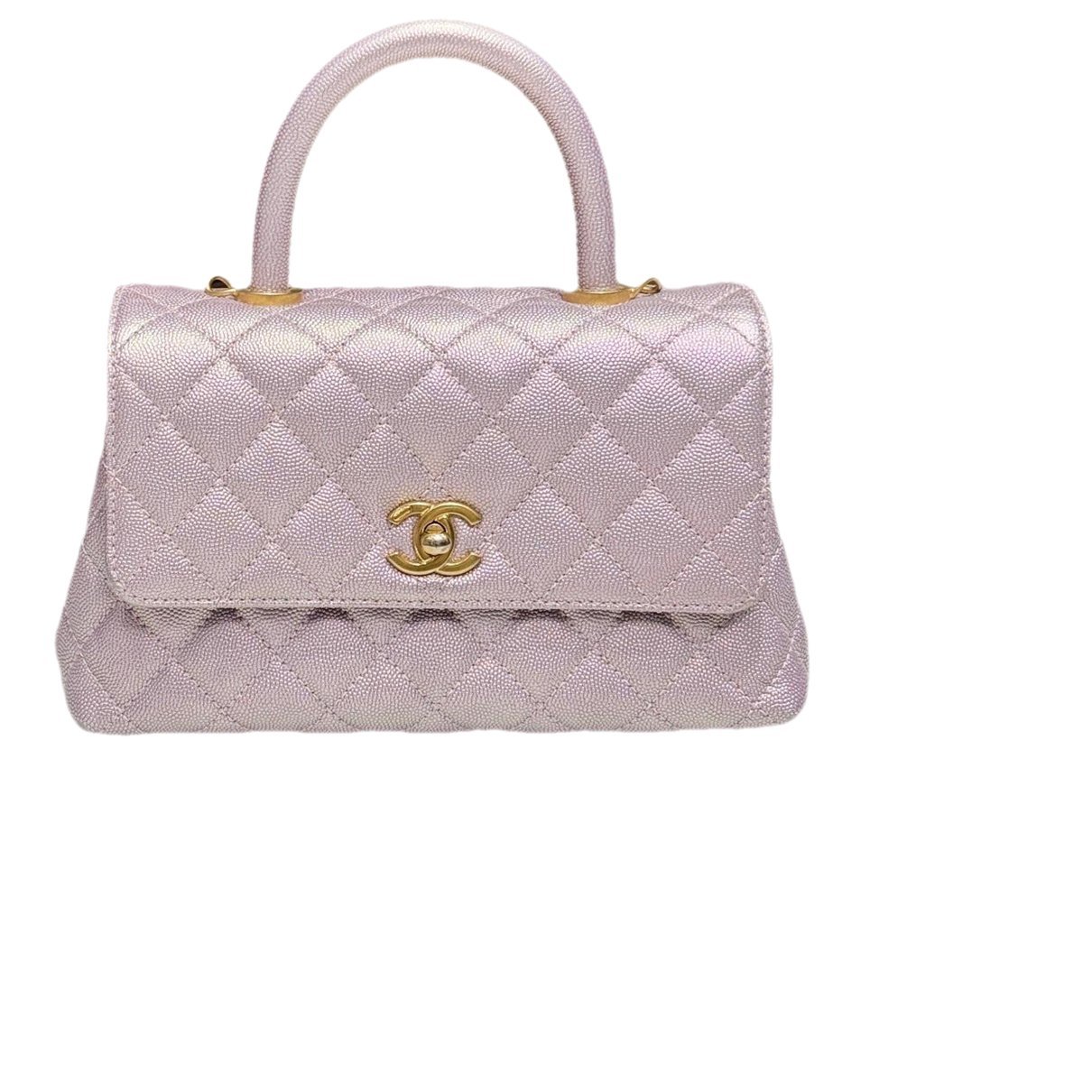 Coco Handle leather handbag