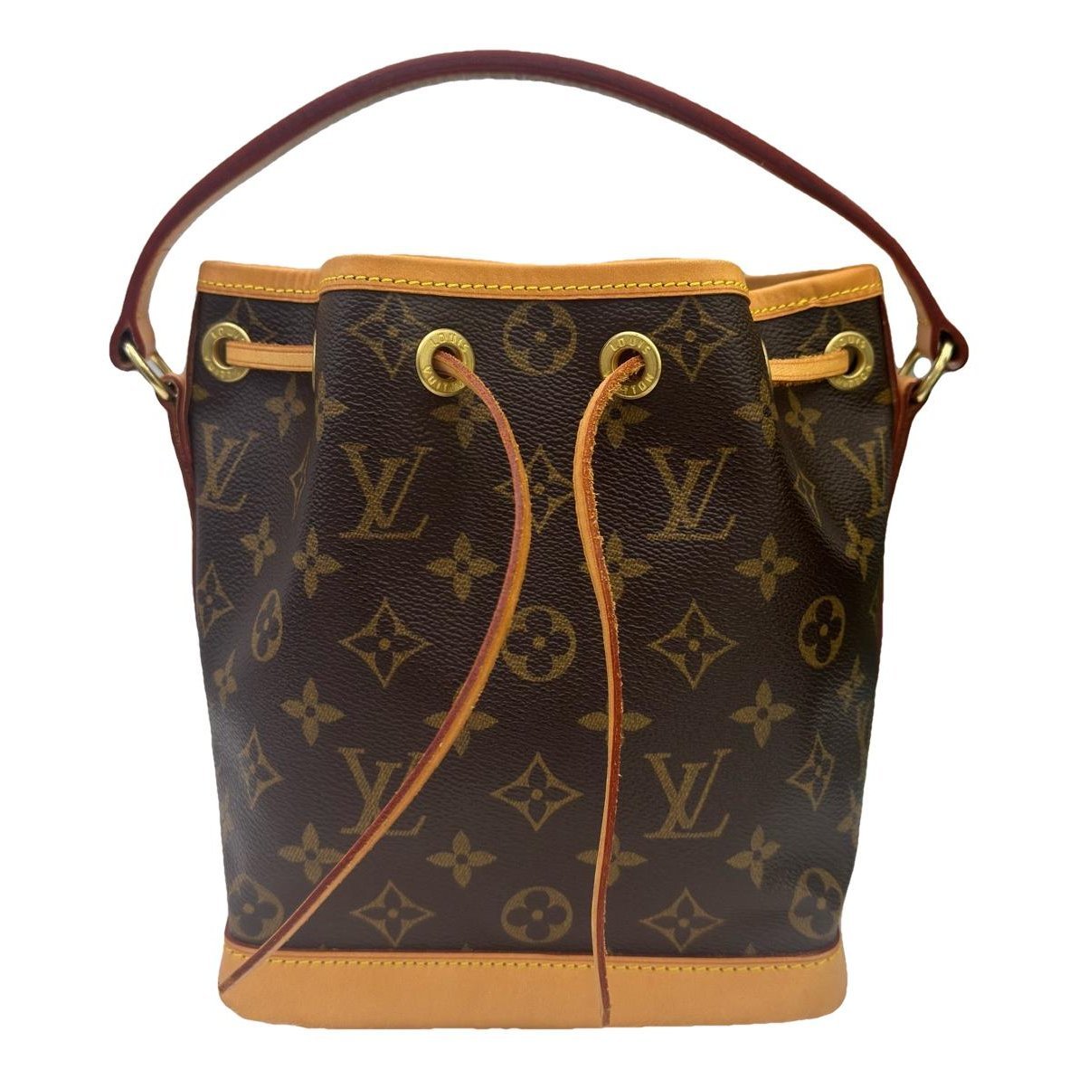Nano Noé leather handbag