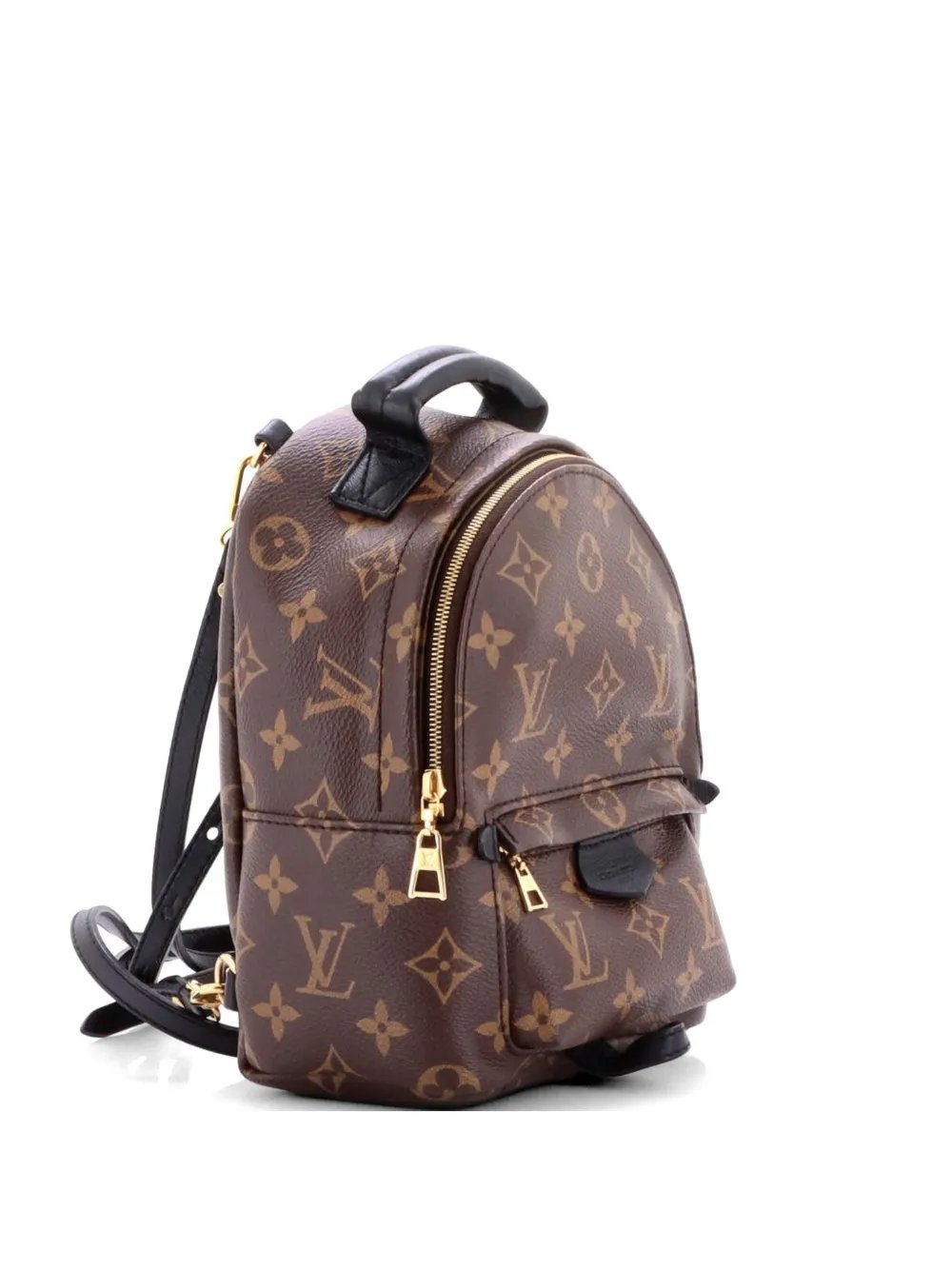 Palm Springs Monogram Canvas Mini backpack