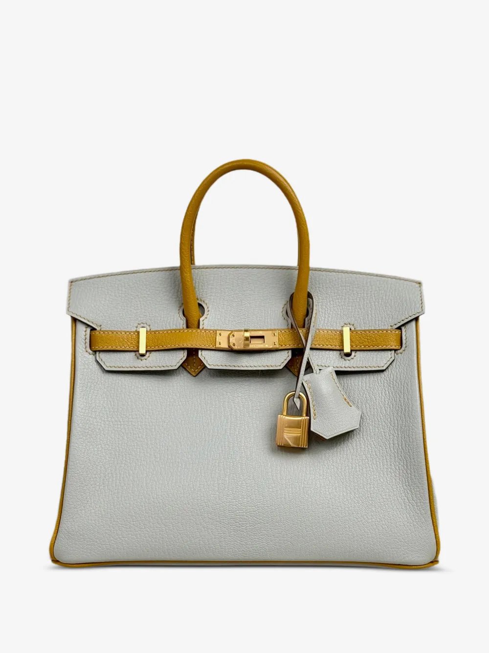 2019 Birkin 25 Chèvre Mysore handbag