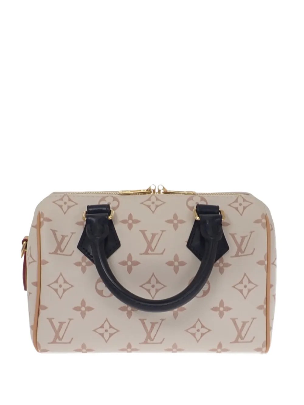 2010-2026 Monogram Dune Speedy Bandouliere 20 satchel