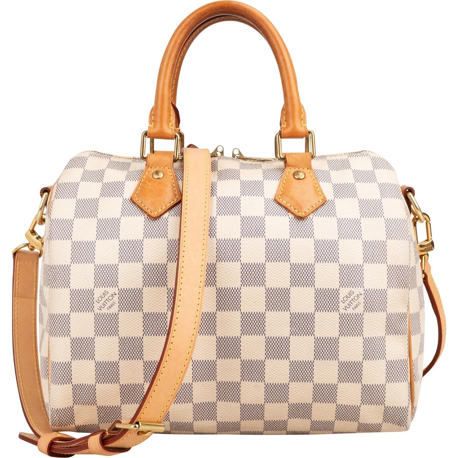 Louis Vuitton Speedy leather handbag