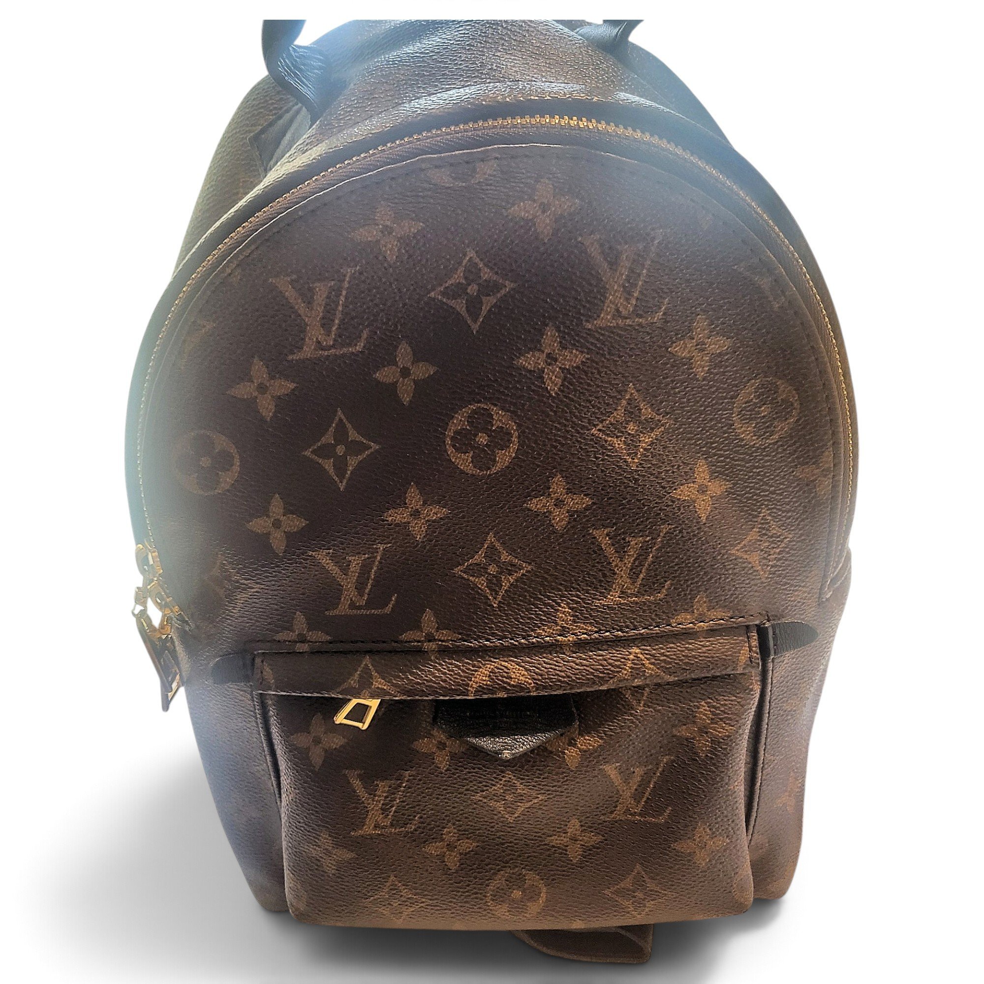 Palm Springs backpack