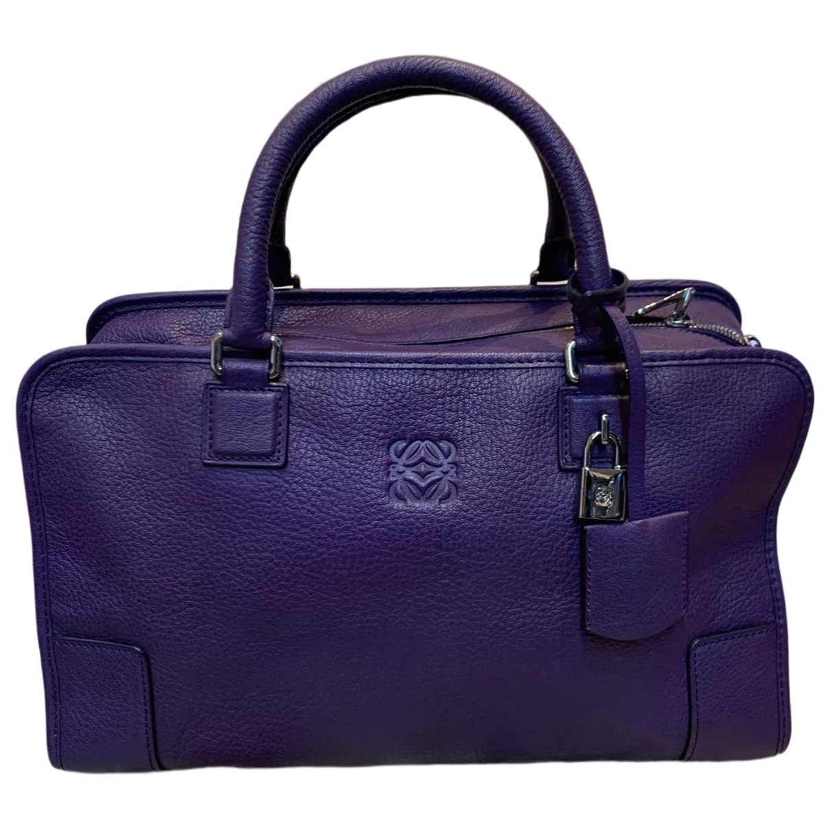 Amazona leather handbag