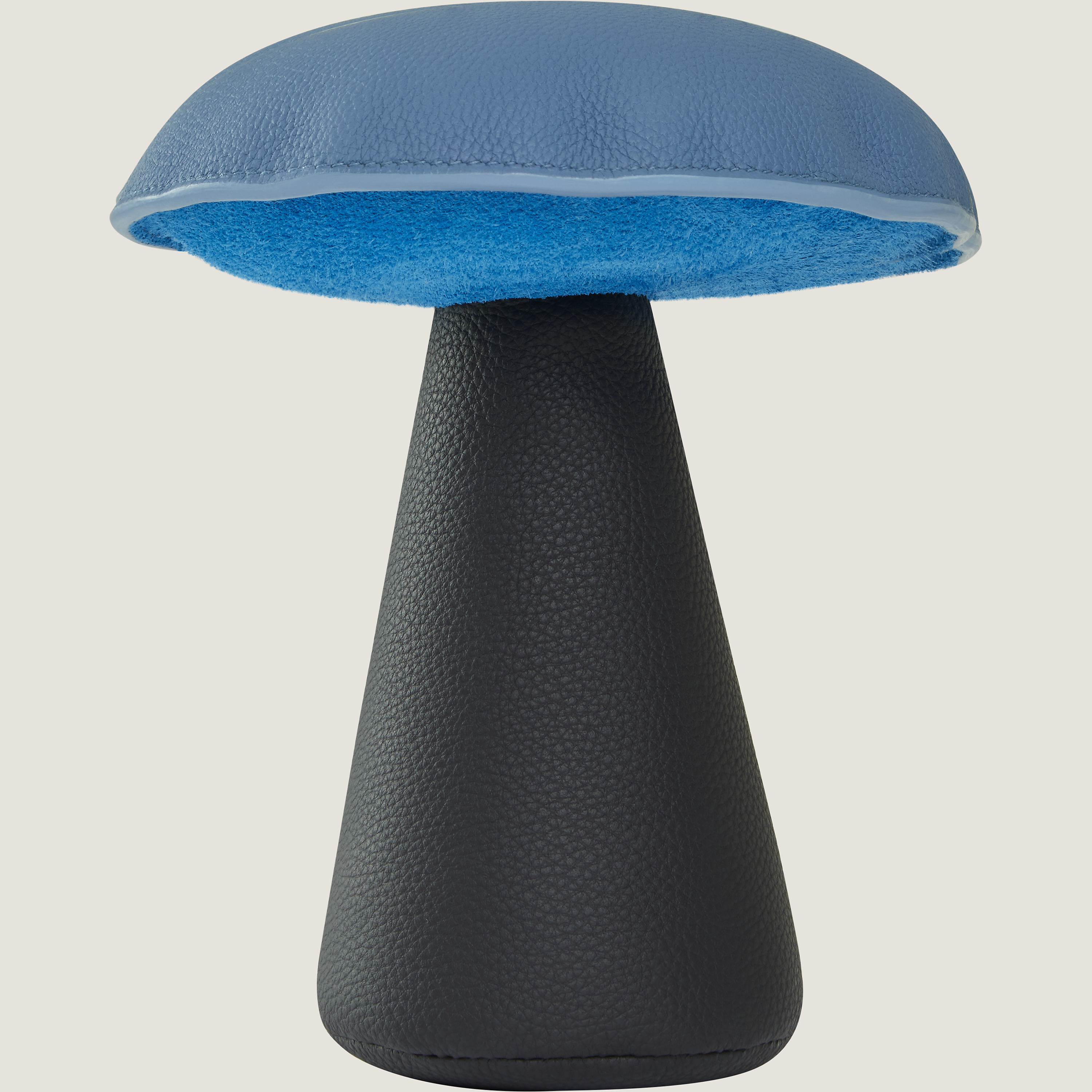 Mushroom paperweight MM