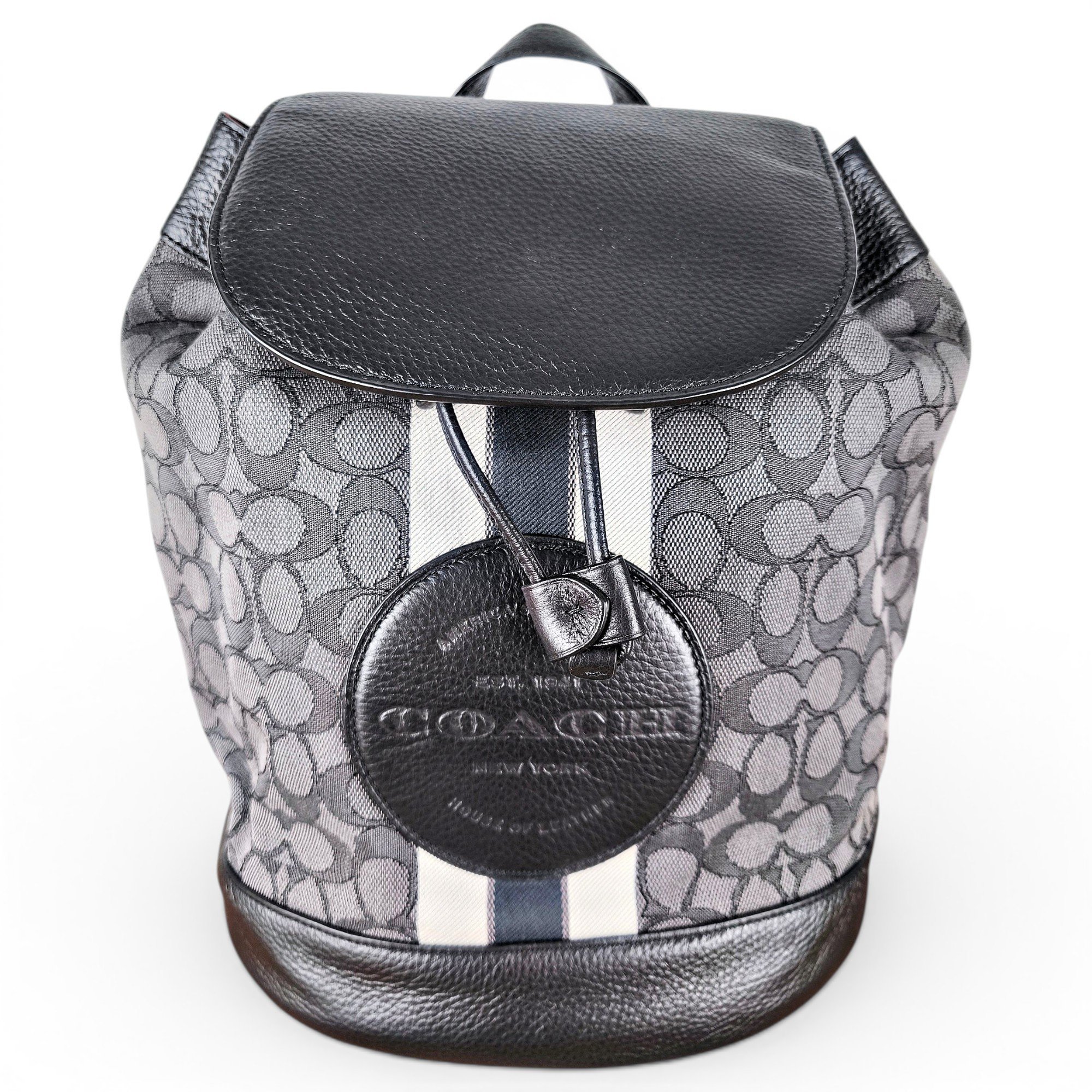 Leather backpack