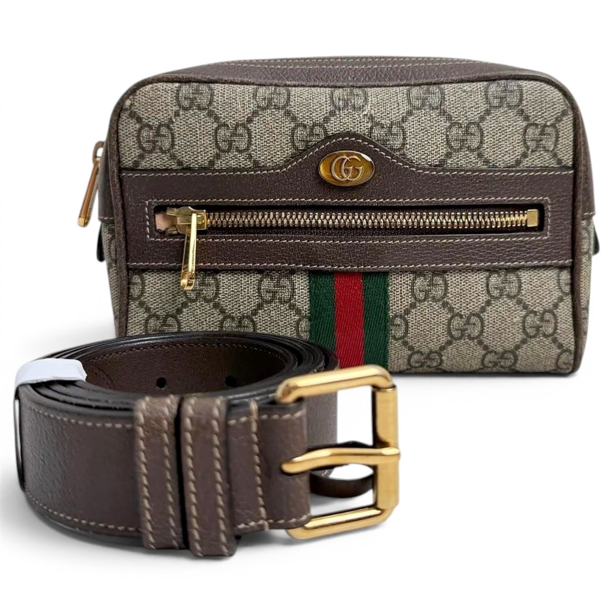 Ophidia cloth mini bag