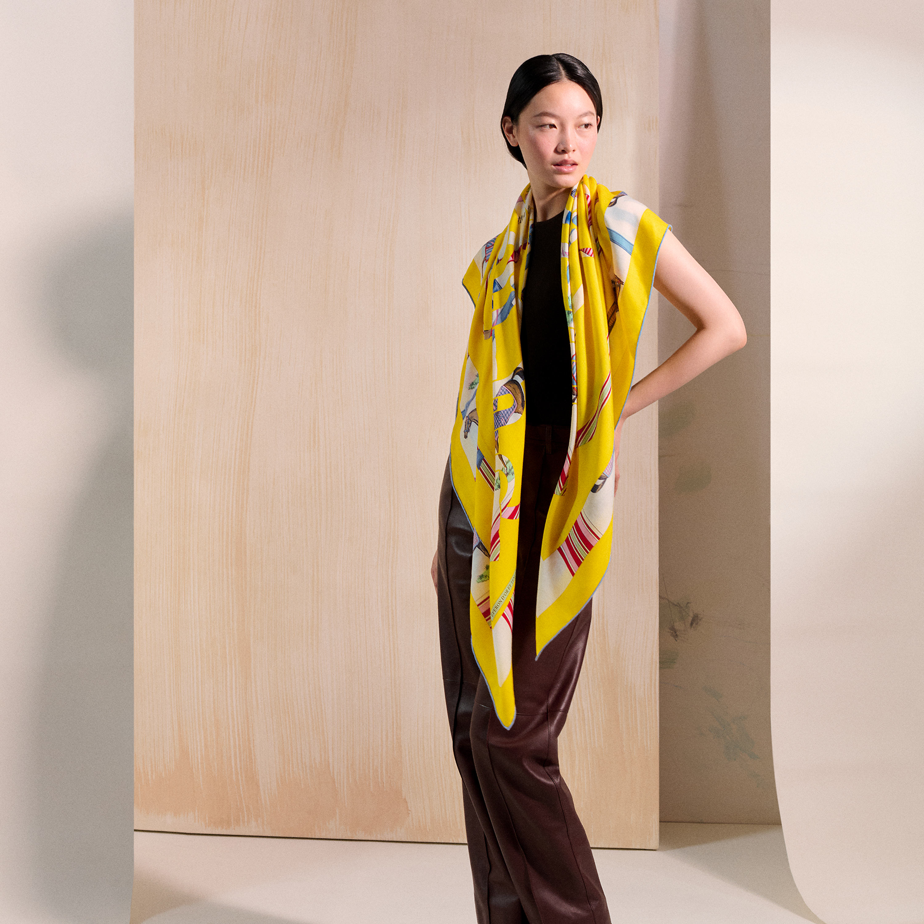 Hermès カレジェアン カシミヤシルク 《エプロンドール&馬着