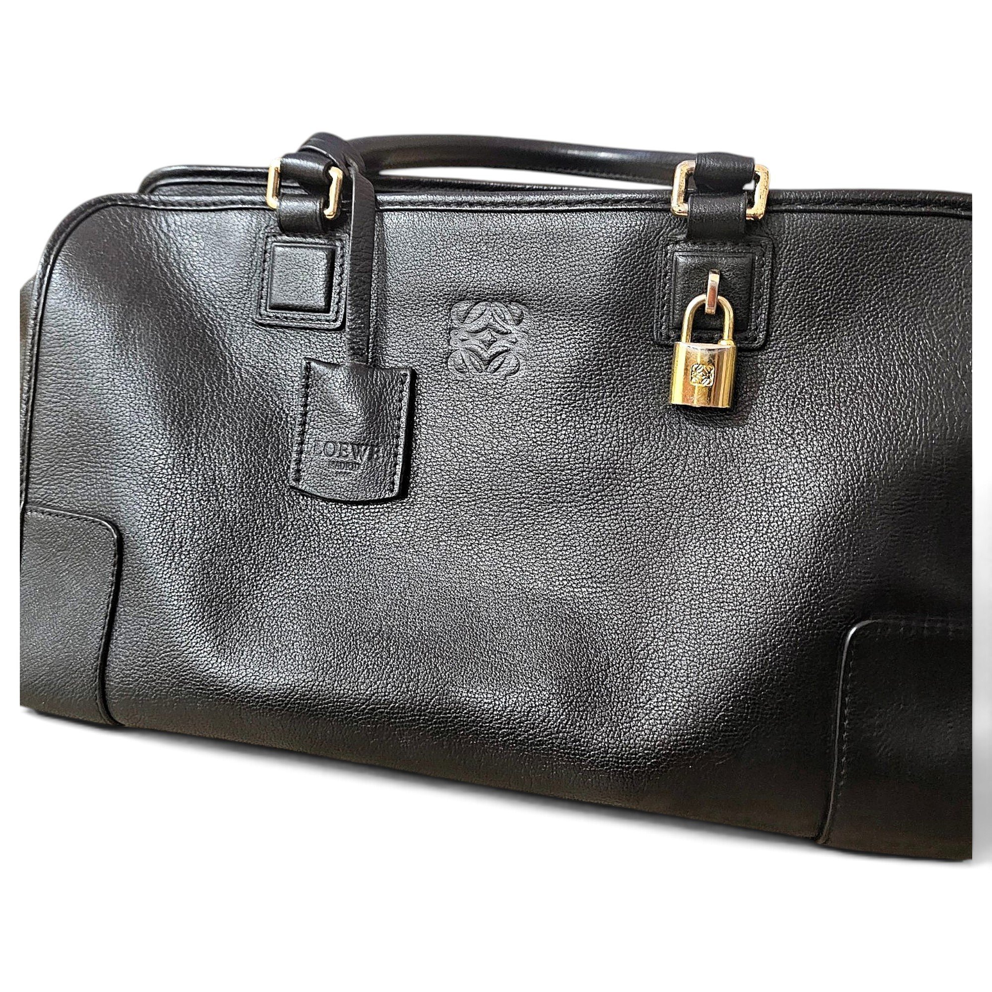 Amazona leather handbag