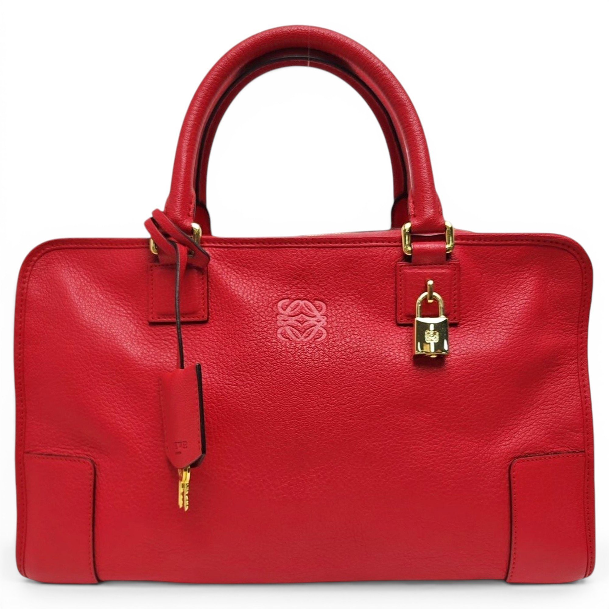 Amazona leather handbag