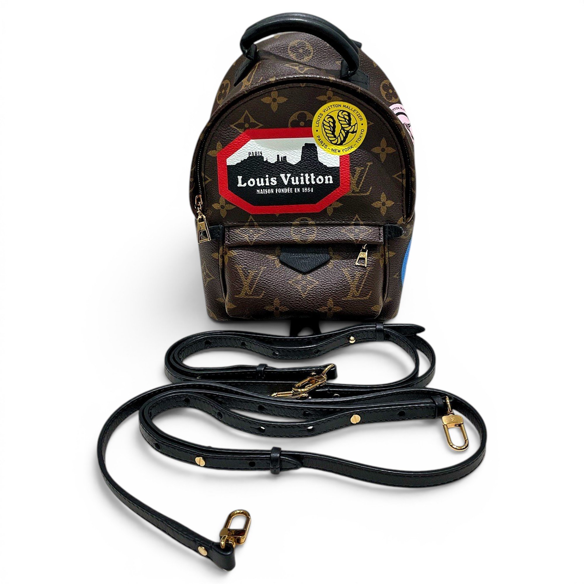 Palm Springs backpack