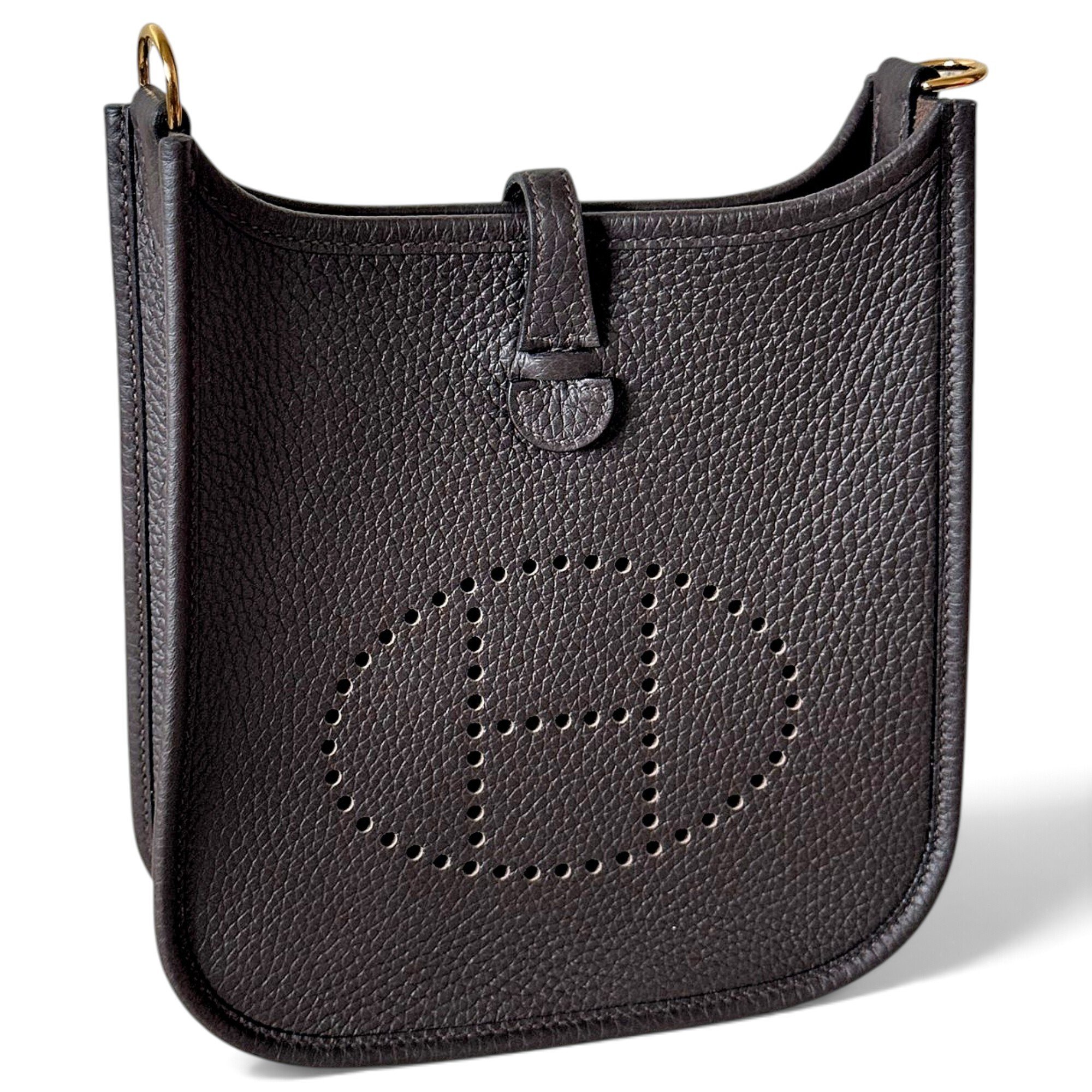 Mini Evelyne leather crossbody bag