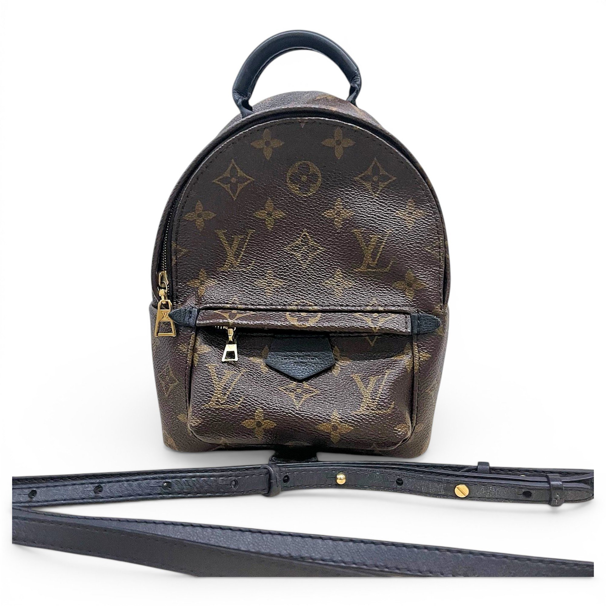 Palm Springs backpack