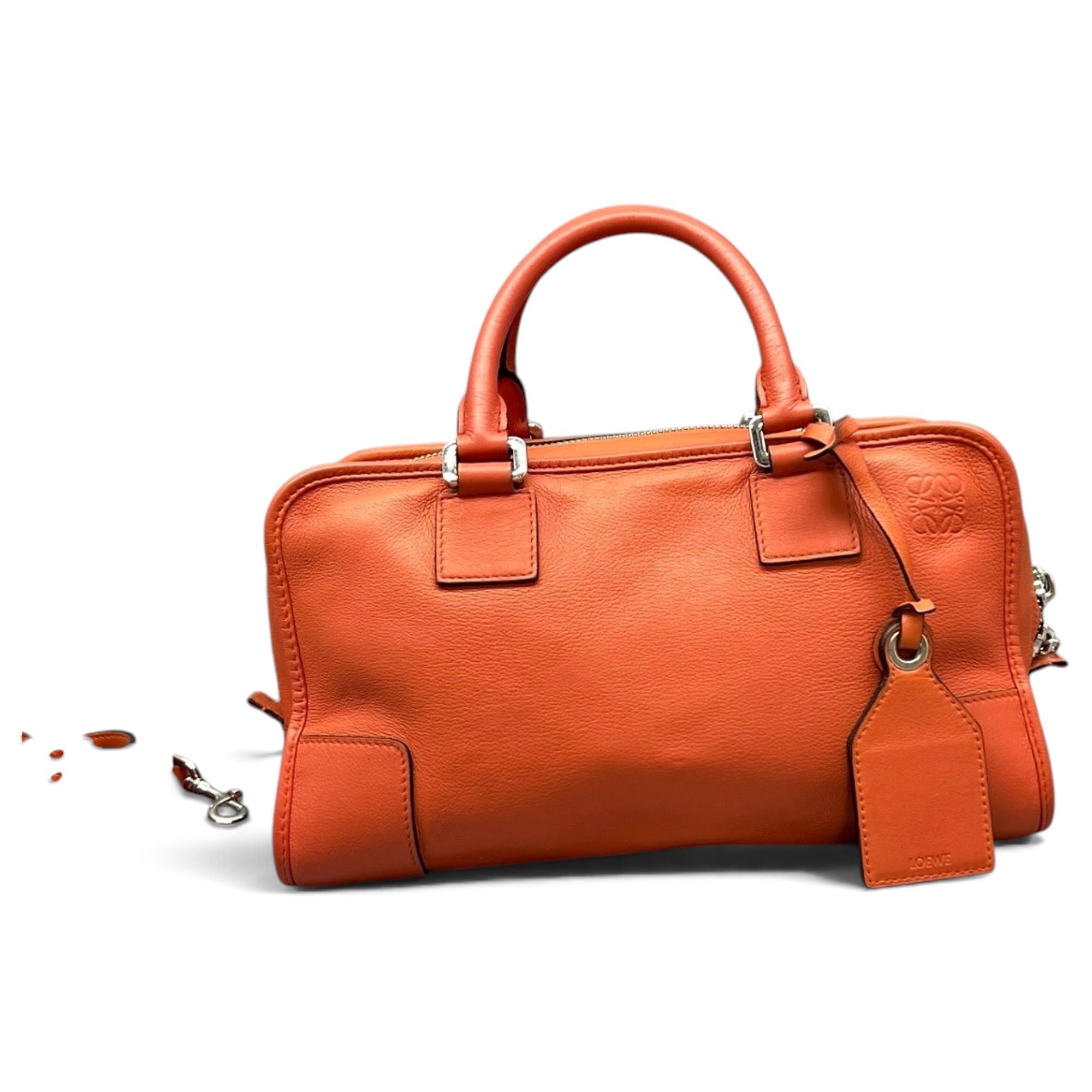 Amazona leather handbag