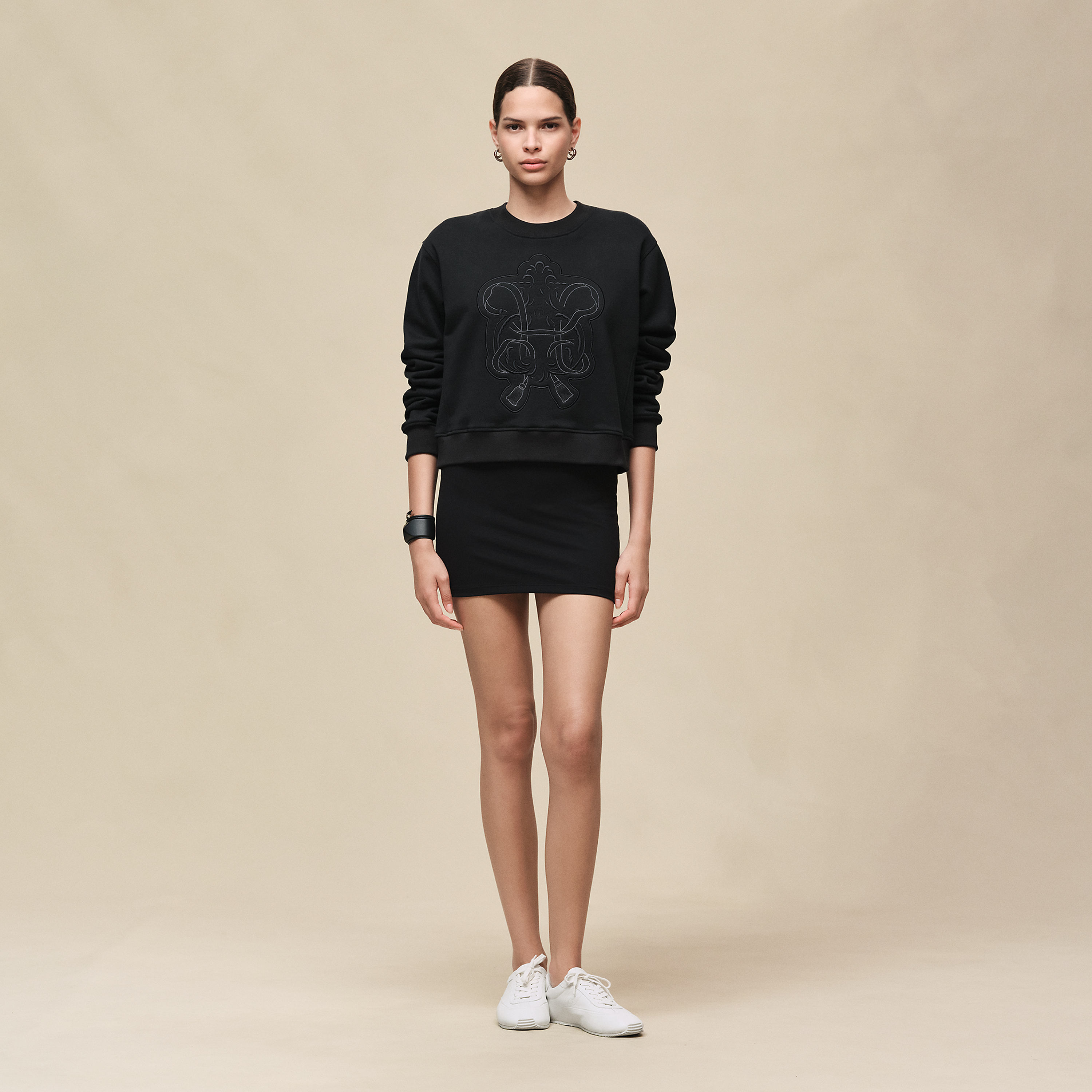 Sweatshirt with embroidered darts