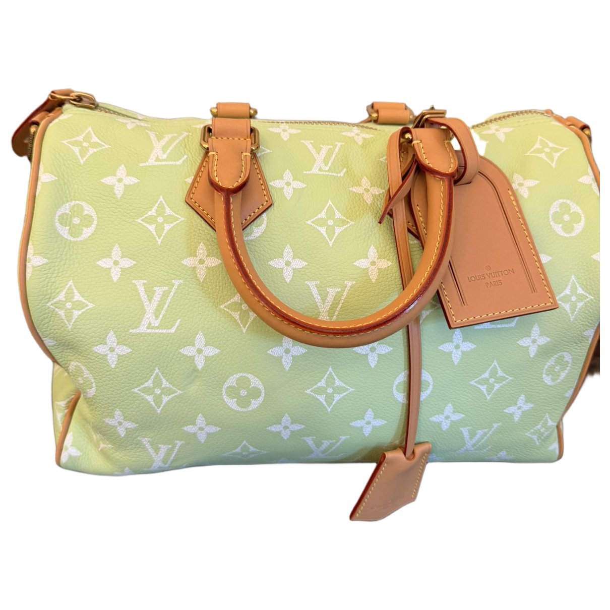 Speedy Bandoulière leather handbag