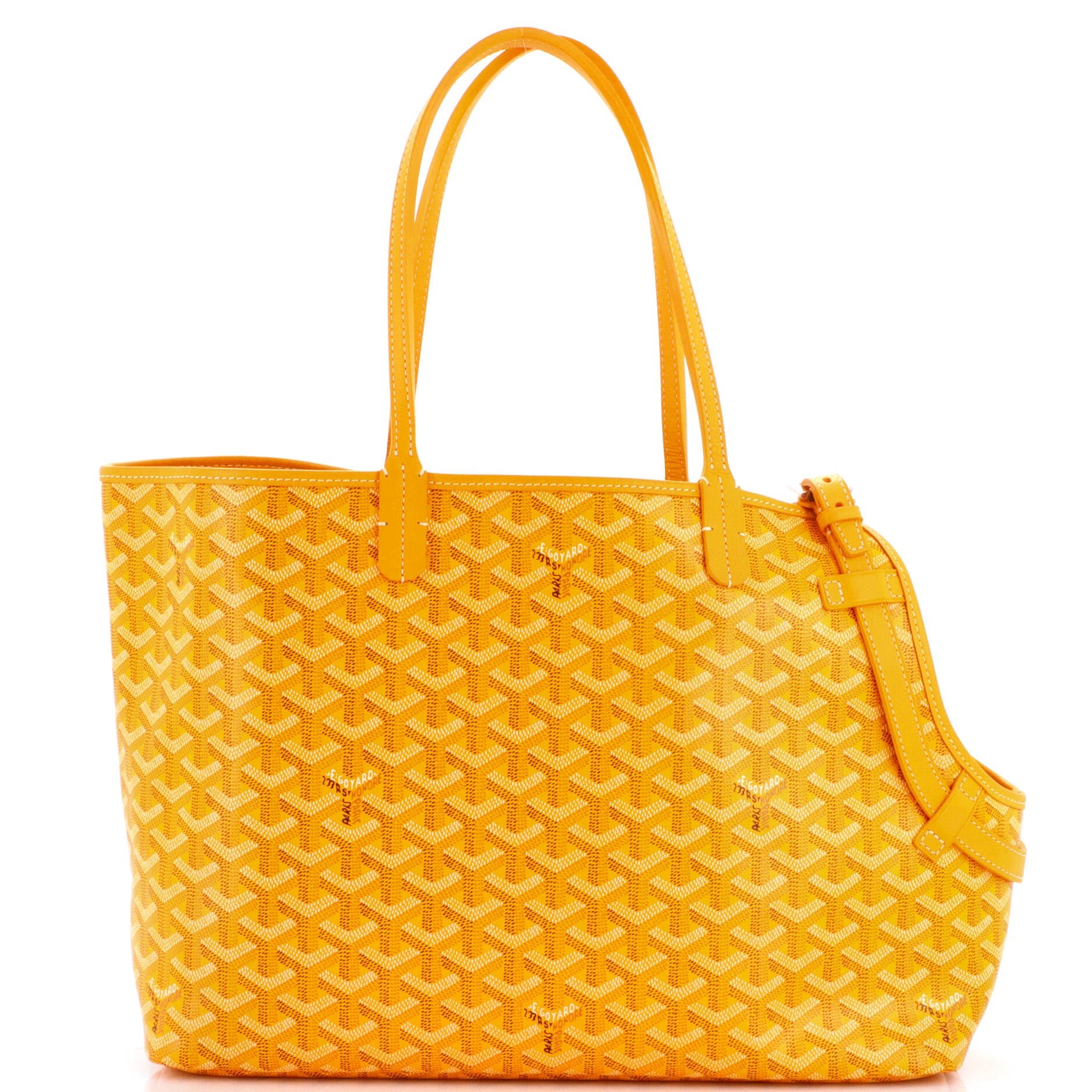 Chien Gris Pet Carrier Tote Coated Canvas