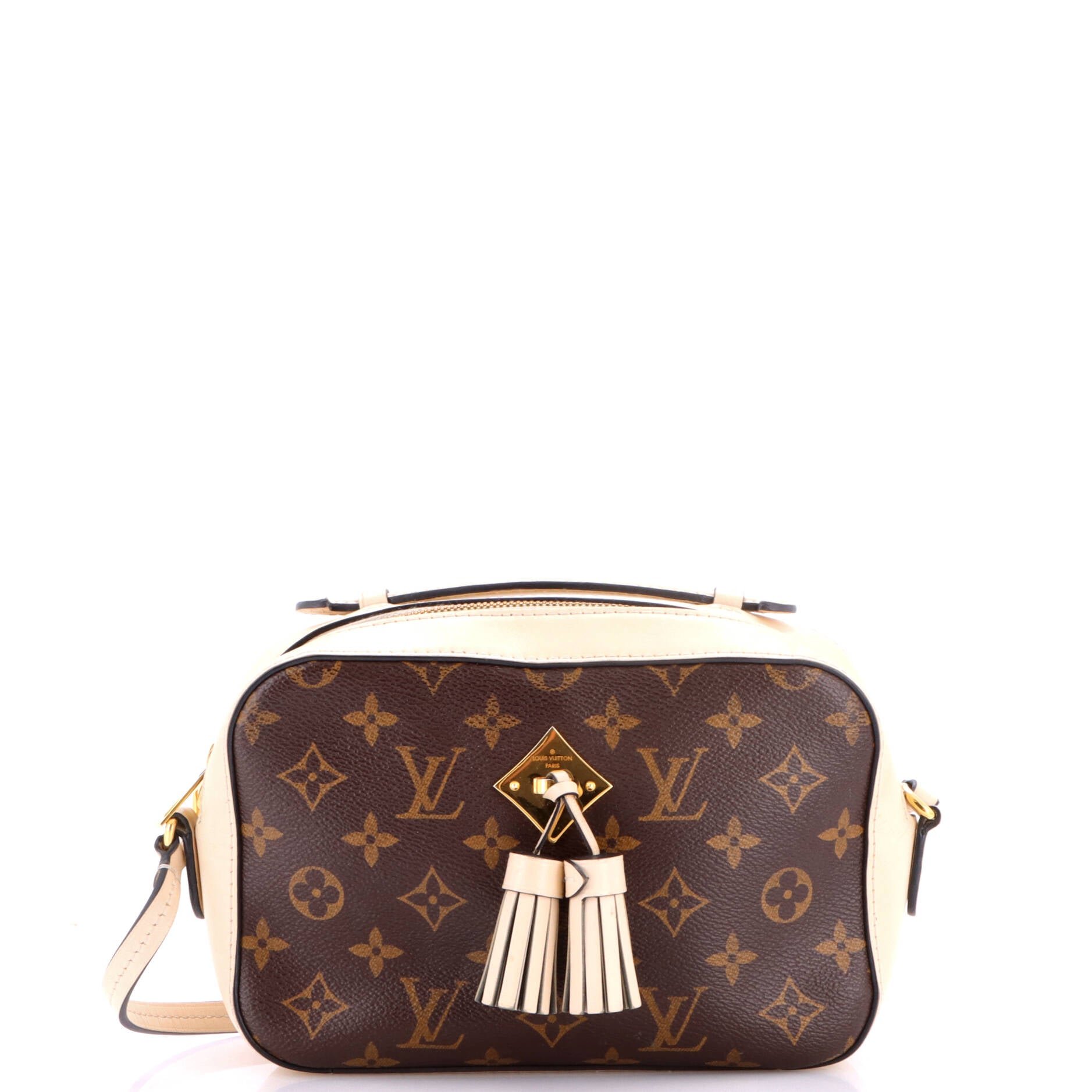 Saintonge Handbag Monogram Canvas with Leather