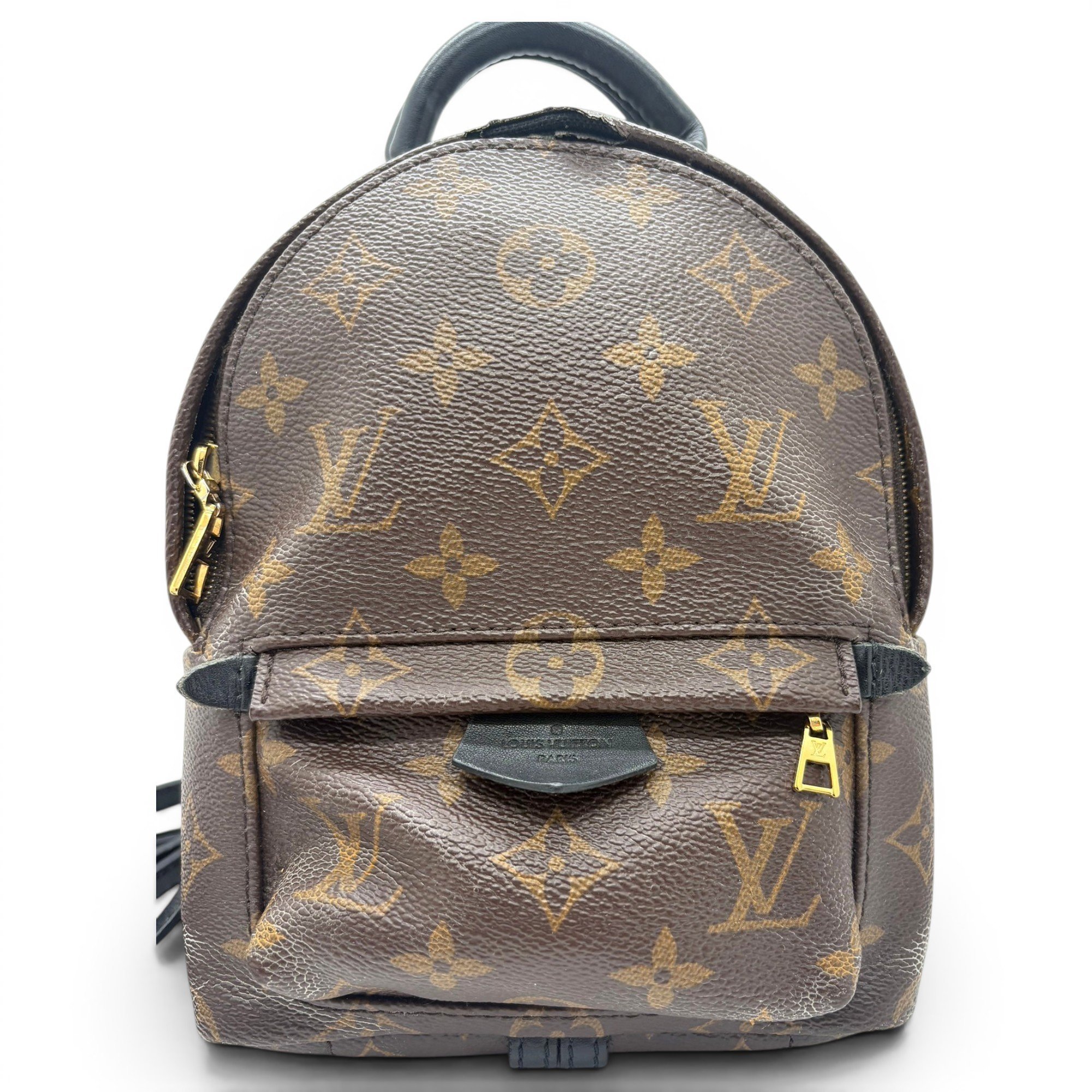 Palm Springs cloth backpack