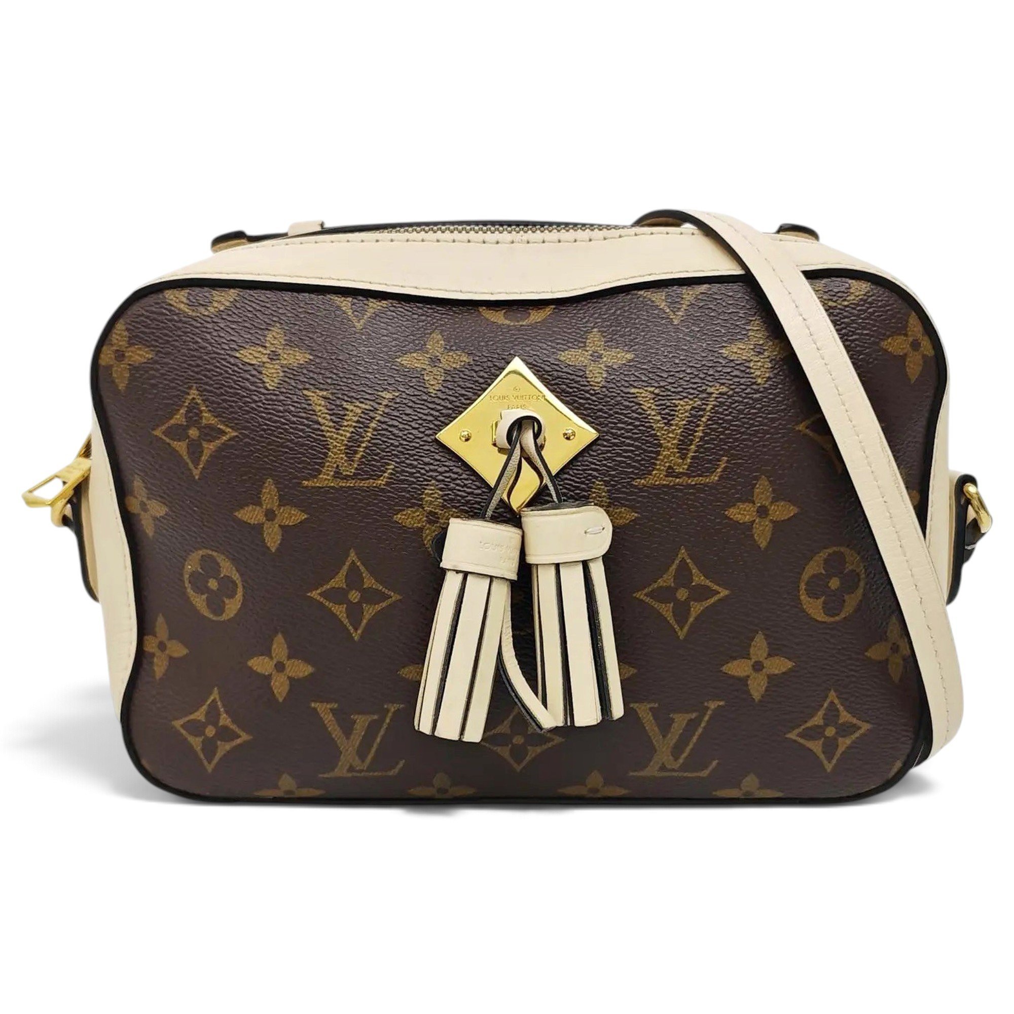 Saintonge leather crossbody bag
