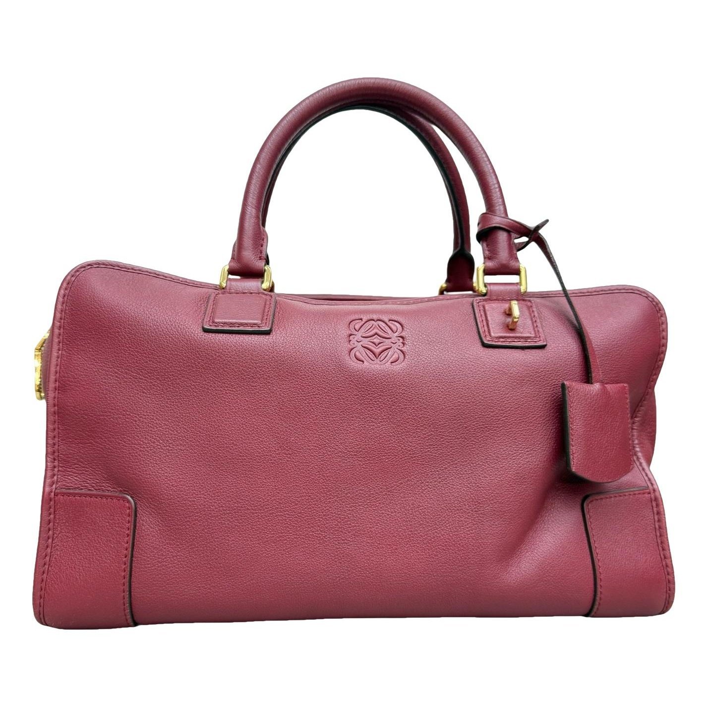 Amazona leather handbag