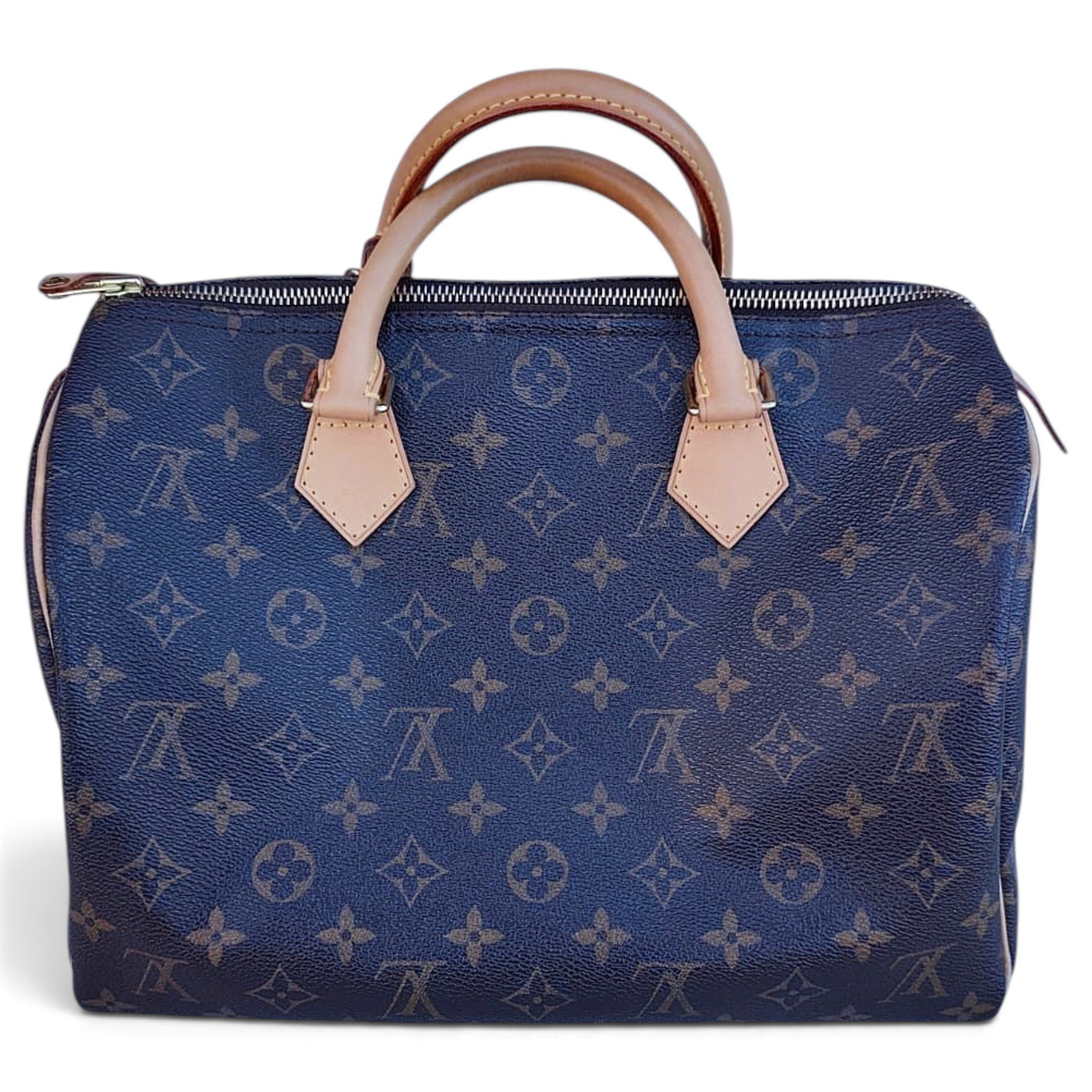 Louis Vuitton Speedy cloth handbag