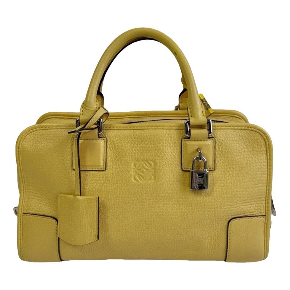 Amazona leather handbag