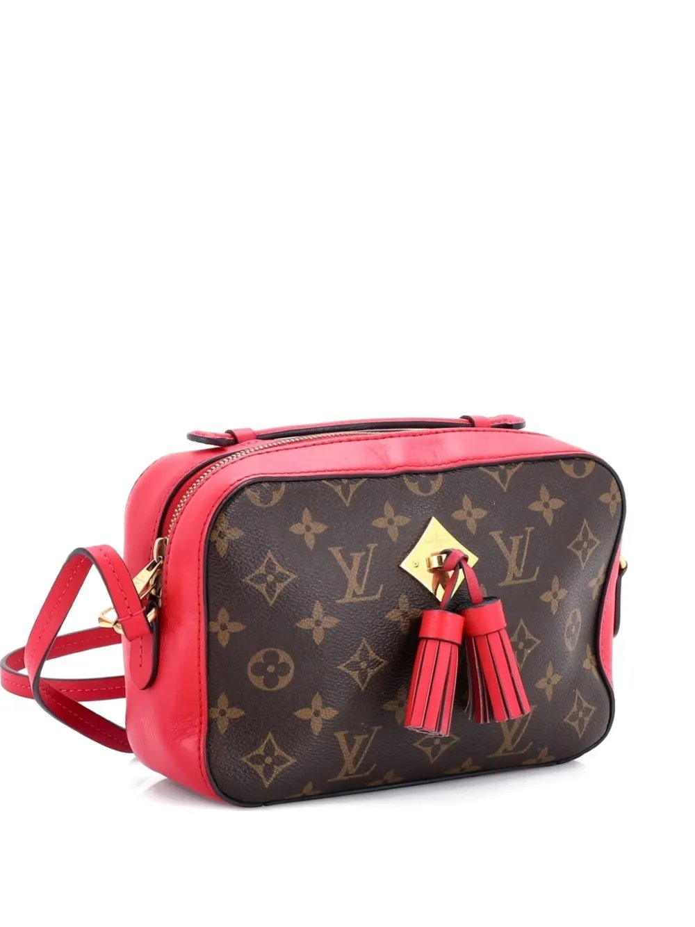 Saintonge Handbag Monogram Canvas with Leather crossbody bag
