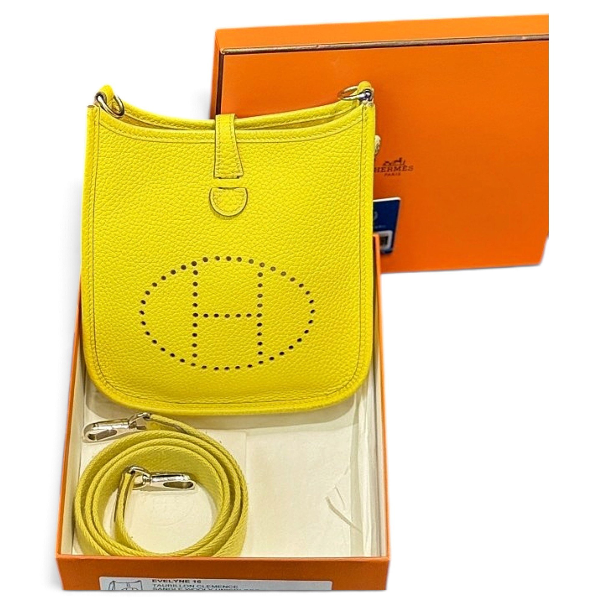 Mini Evelyne leather handbag
