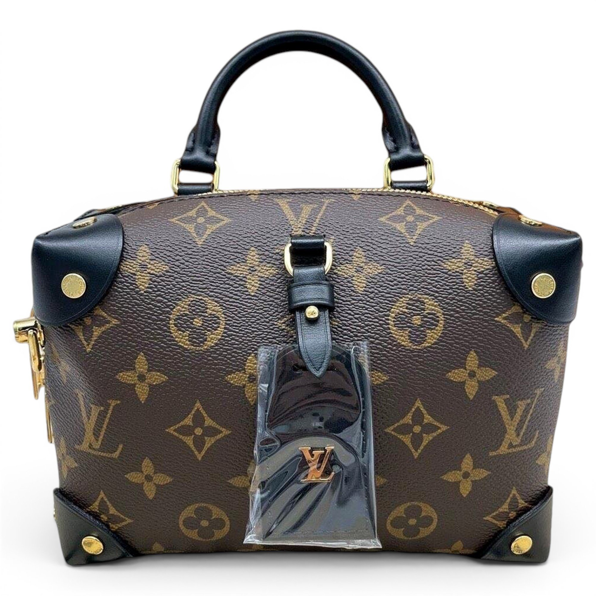 Petite Malle Souple leather handbag
