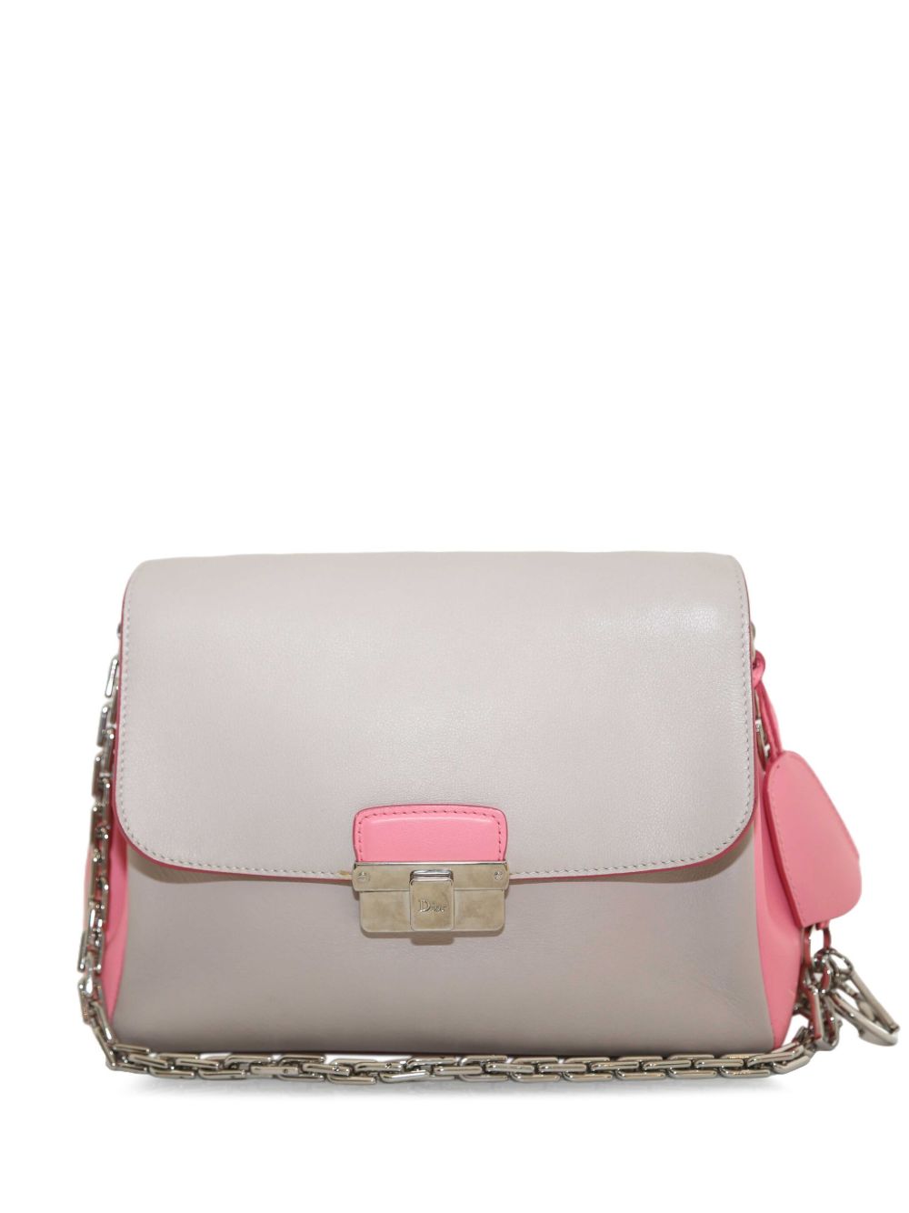 Dior small Diorling shoulder bag