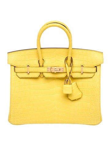 2025 Matte Niloticus Crocodile Birkin 25