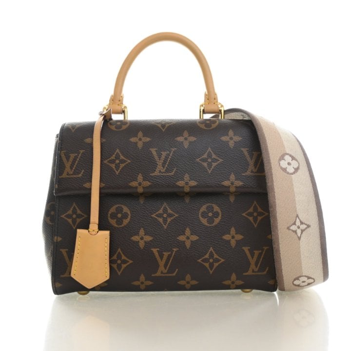 Louis Vuitton Monogram Cluny Mini