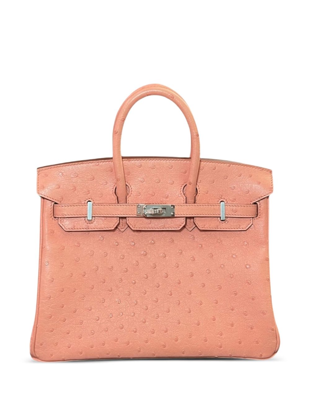 2021 Birkin 25 Ostrich palladium-hardware tote bag