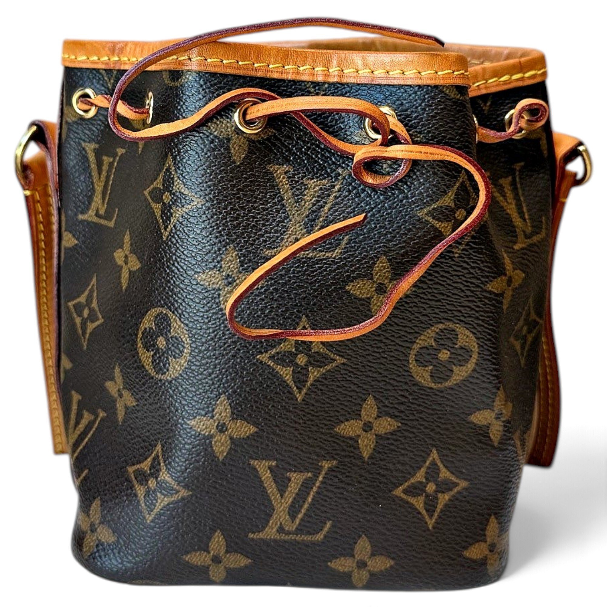 Nano Noé leather handbag
