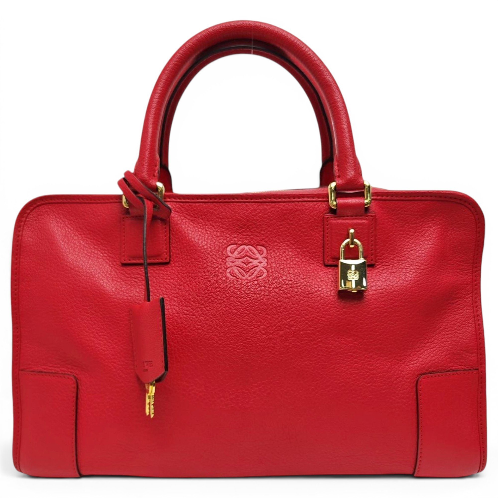 Amazona leather handbag