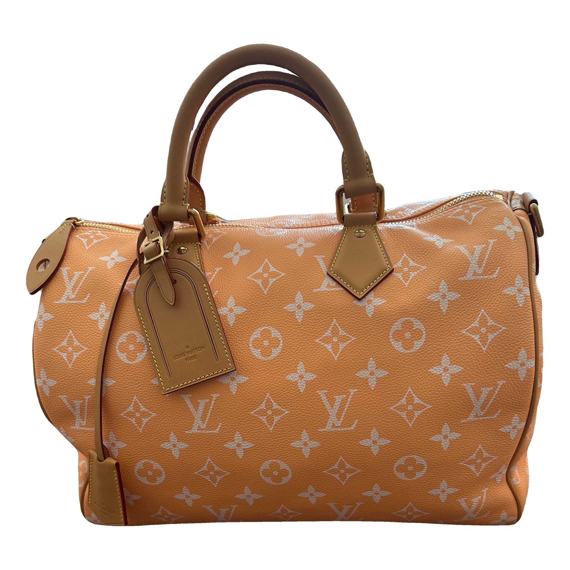 Speedy Bandoulière leather handbag