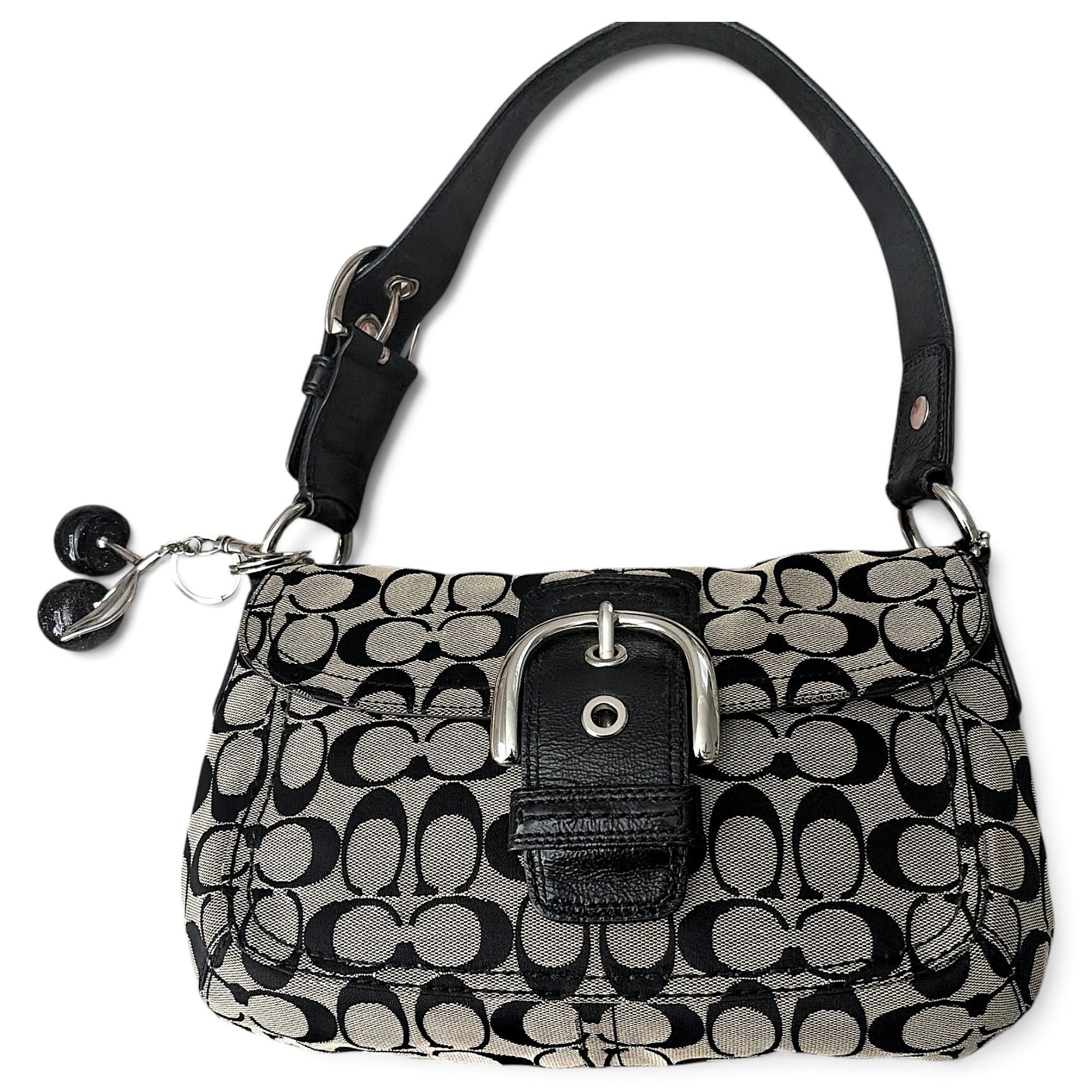 Patent leather bag