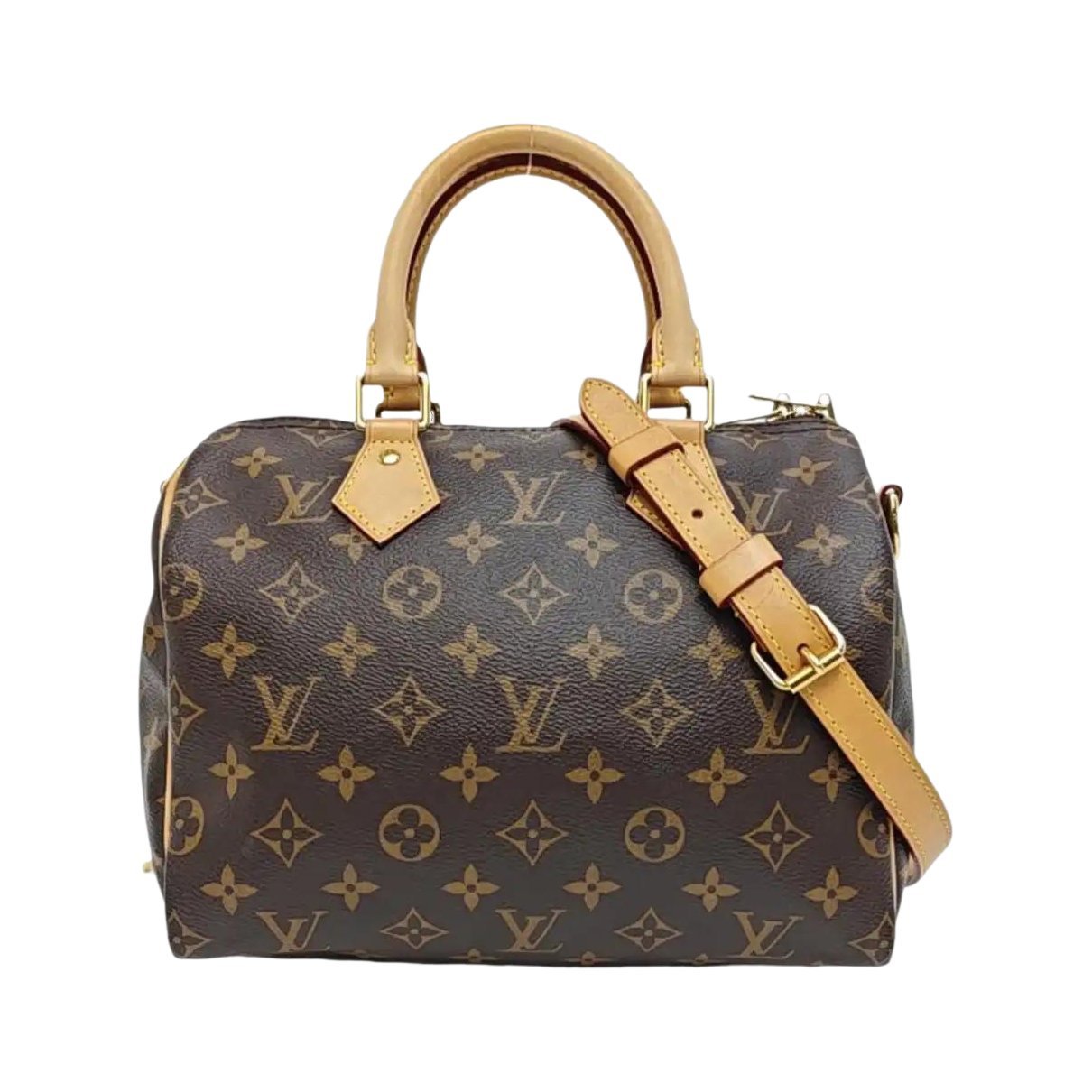 Louis Vuitton Nano Speedy / Mini HL leather handbag