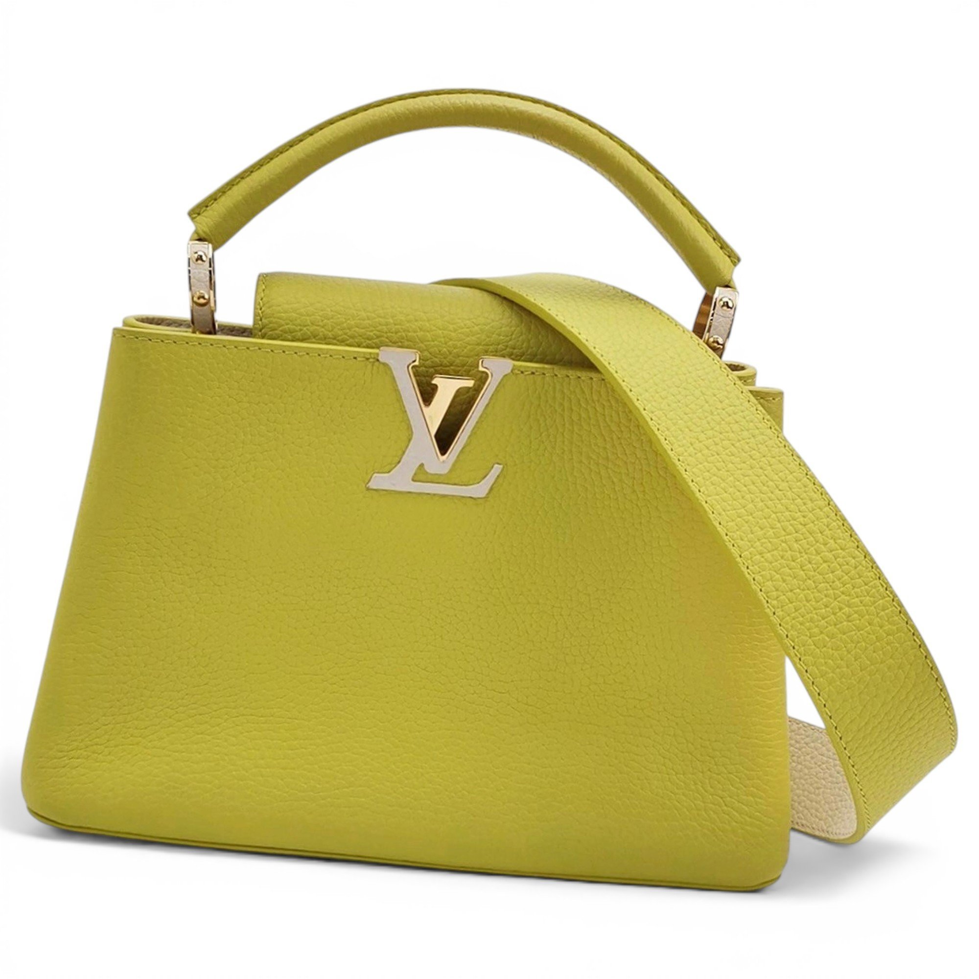 Capucines leather handbag
