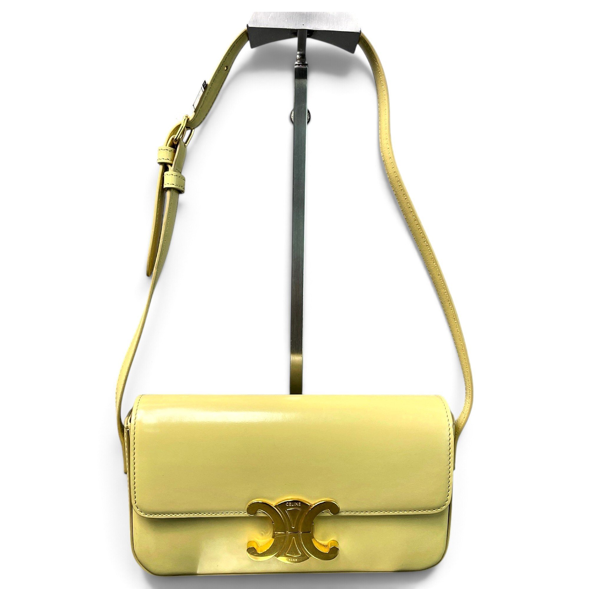 Triomphe Long leather handbag