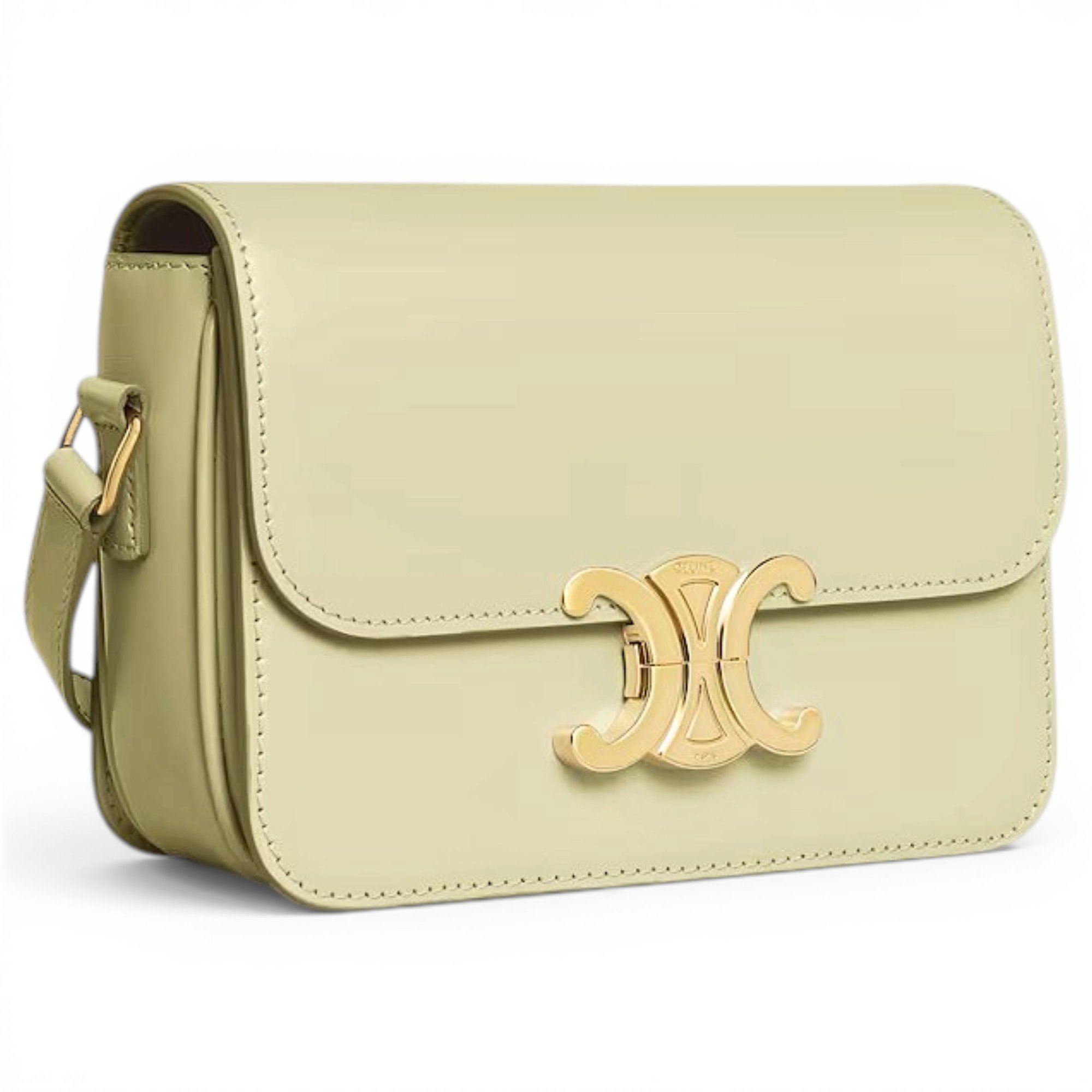 Triomphe leather handbag