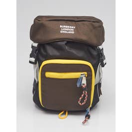 Burberry Burberry Brown/Black Nylon Leo Belt Pouch Crossbody Bag
